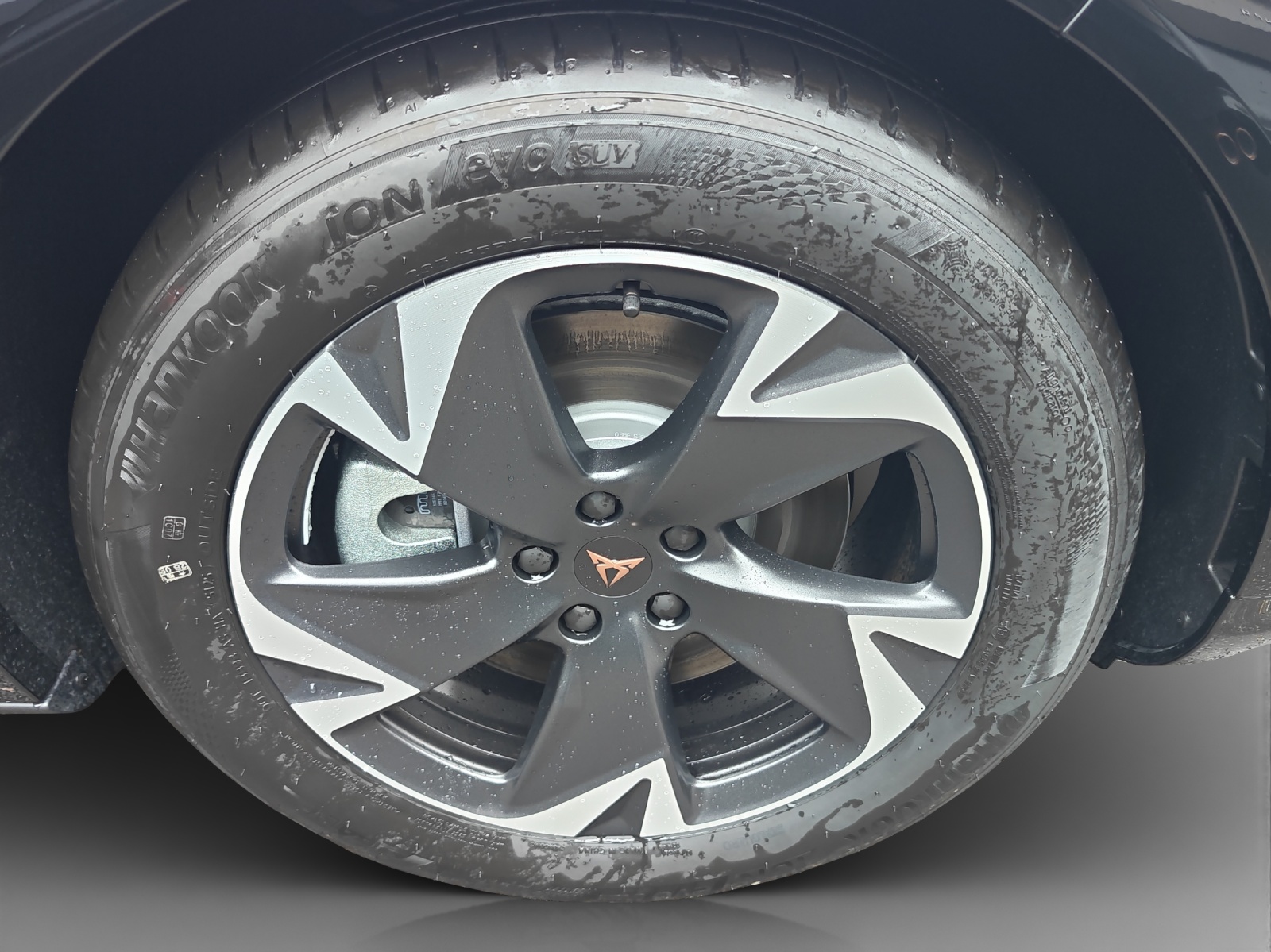 CUPRA Tavascan Type 4 77 kWh Endurance Edge-image-14