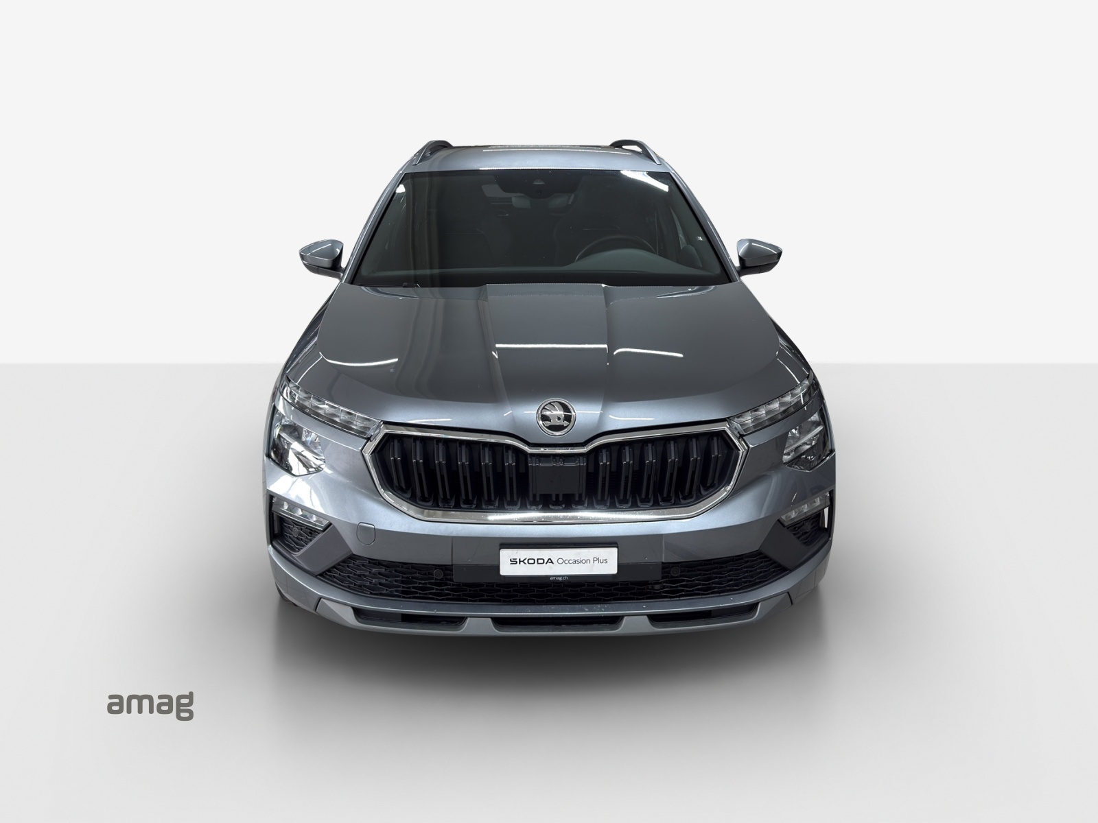 SKODA Kamiq 1.0 TSI Selection DSG-image-6