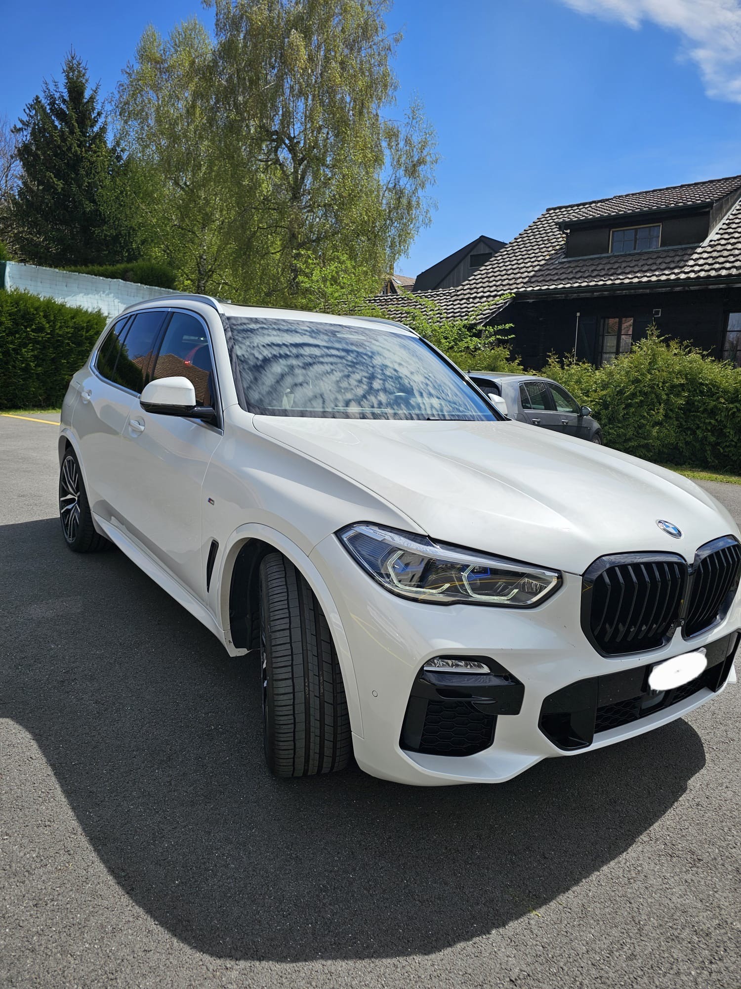 BMW X5 xDrive 30d Steptronic-image-3