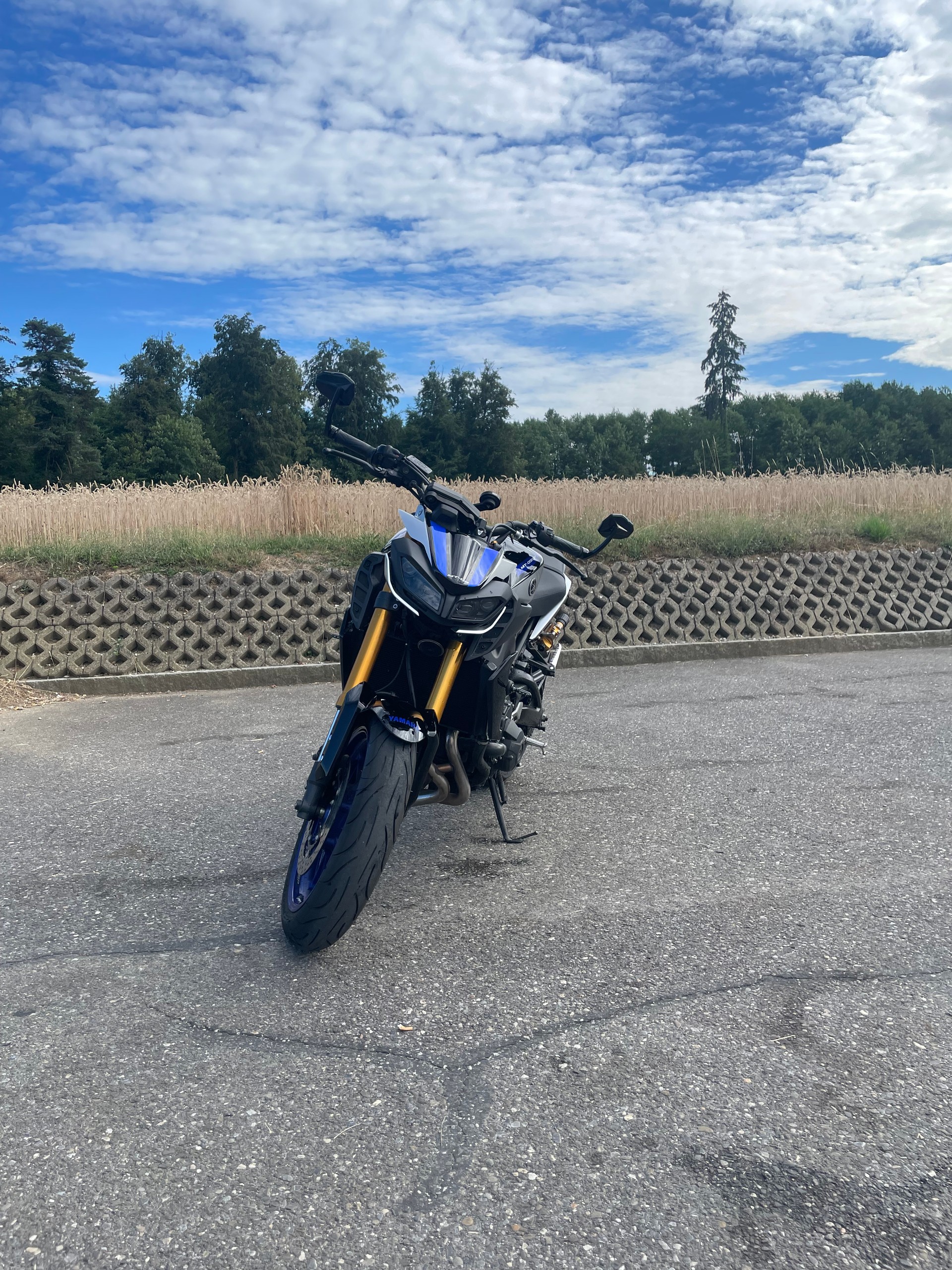 YAMAHA MT-09 SP ABS-image-3