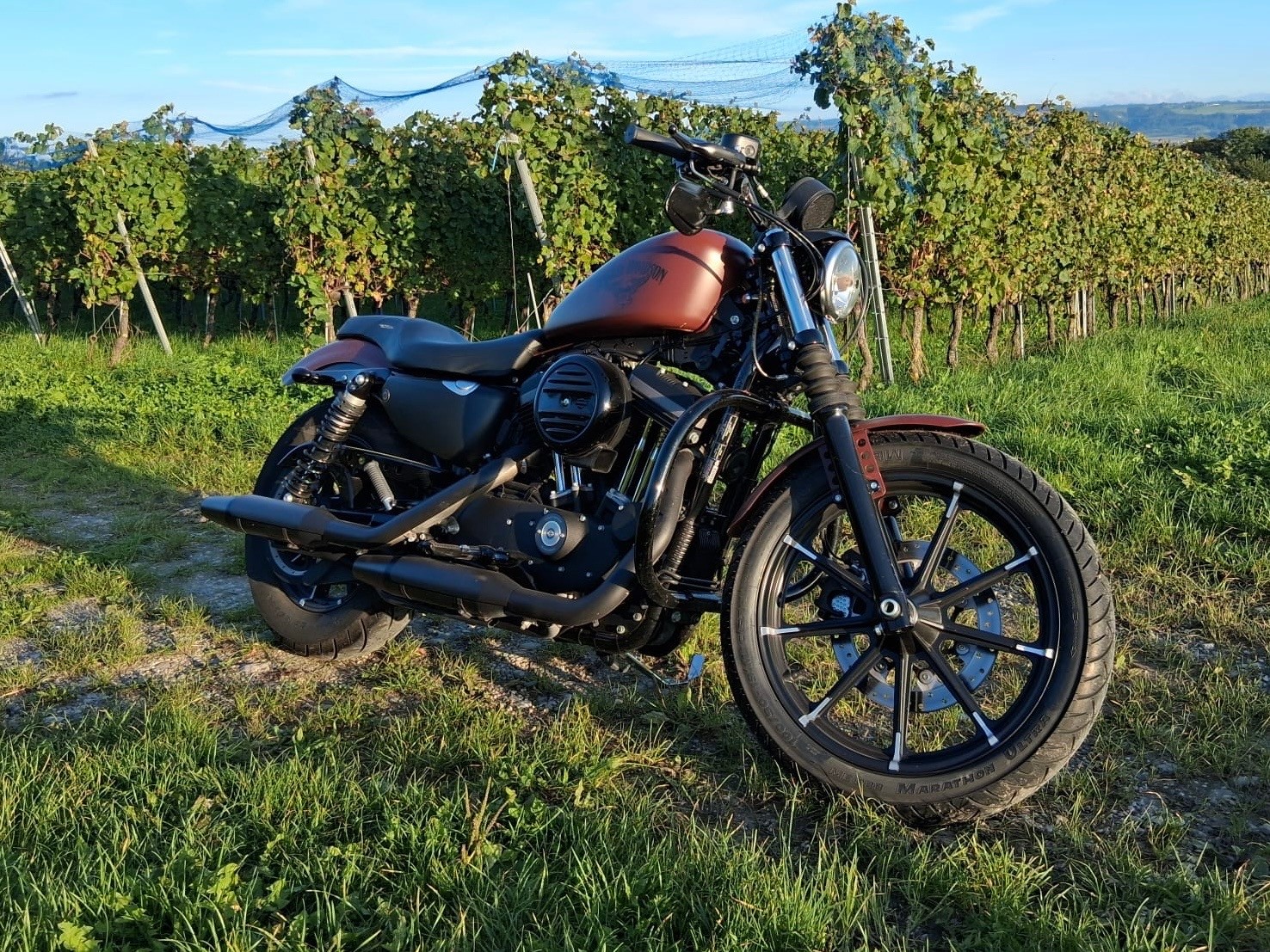 HARLEY-DAVIDSON XL 883 N Sportster Iron ABS-image-3