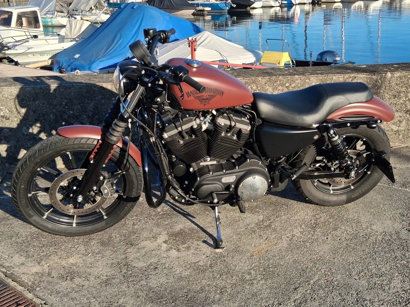 HARLEY-DAVIDSON XL 883 N Sportster Iron ABS-image-4