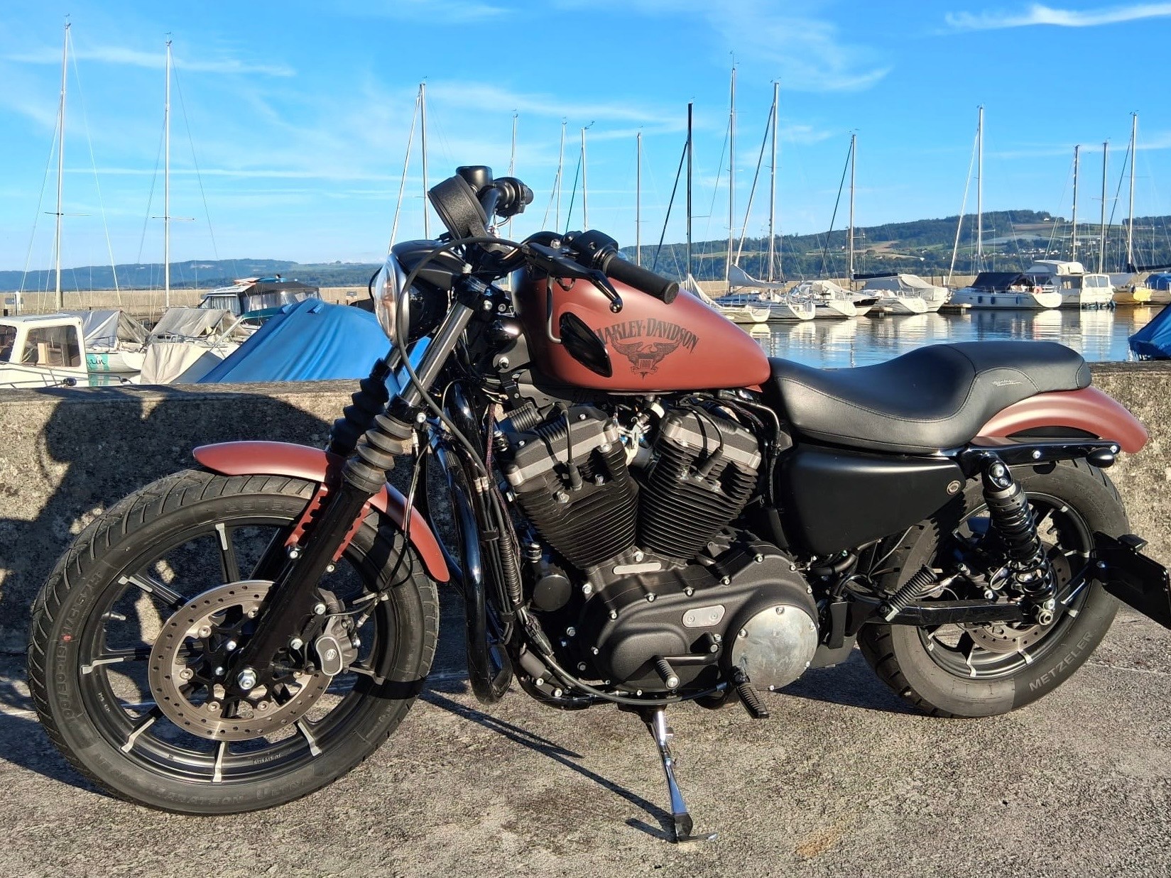 HARLEY-DAVIDSON XL 883 N Sportster Iron ABS