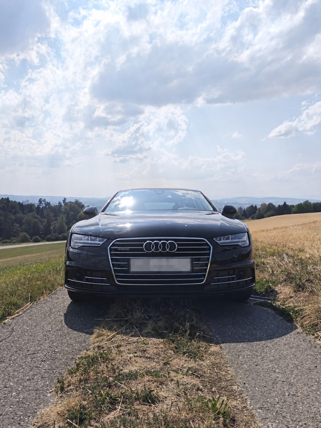 AUDI 3.0 V6 TDI quattro S-Tronic-image-6