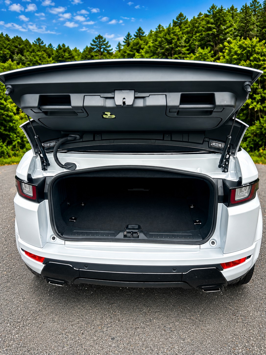 LAND ROVER 2.0 Si4 SE Dynamic-image-10