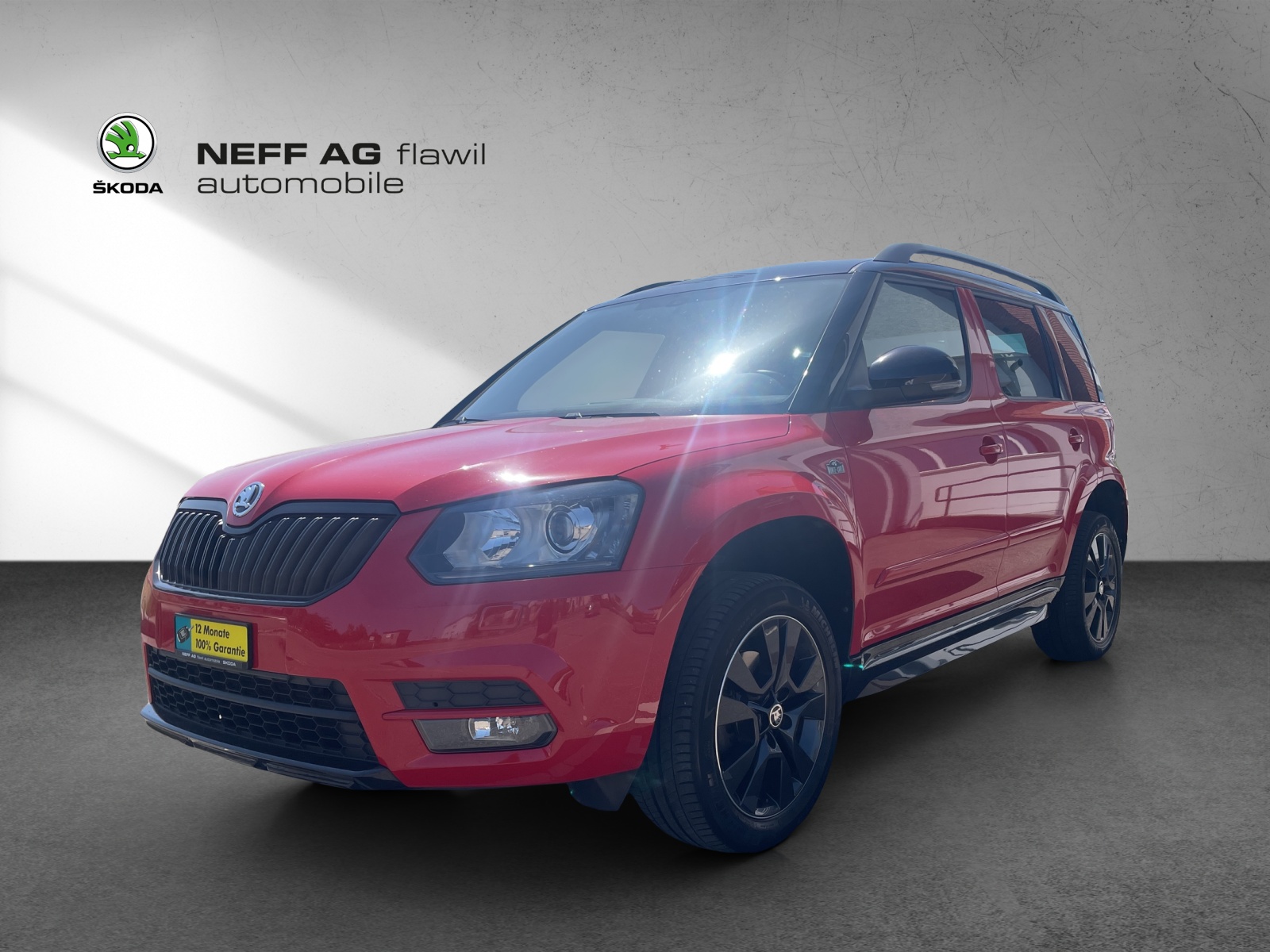 SKODA SKODA Yeti Monte Carlo-image-0