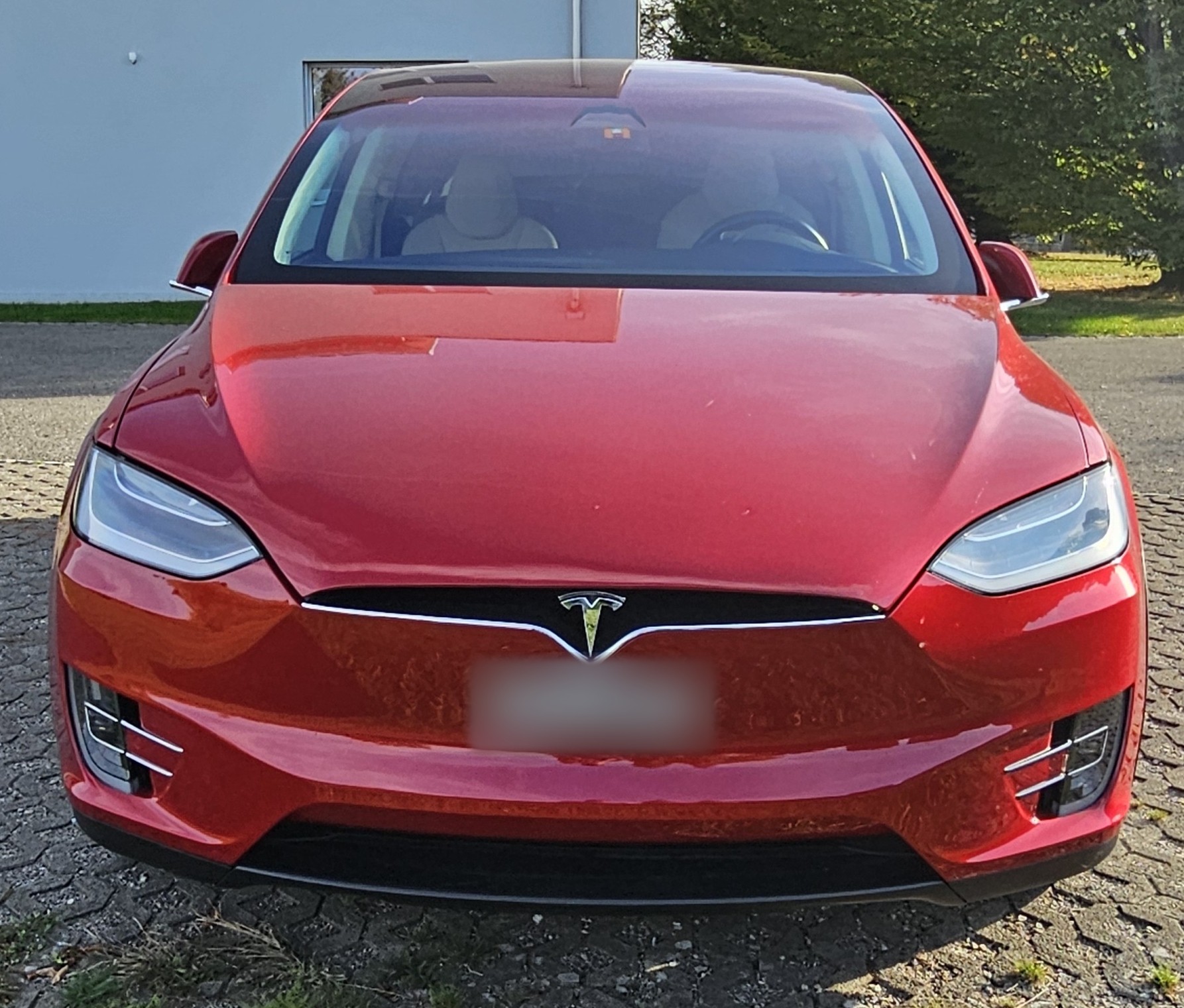 TESLA 100 D-image-0