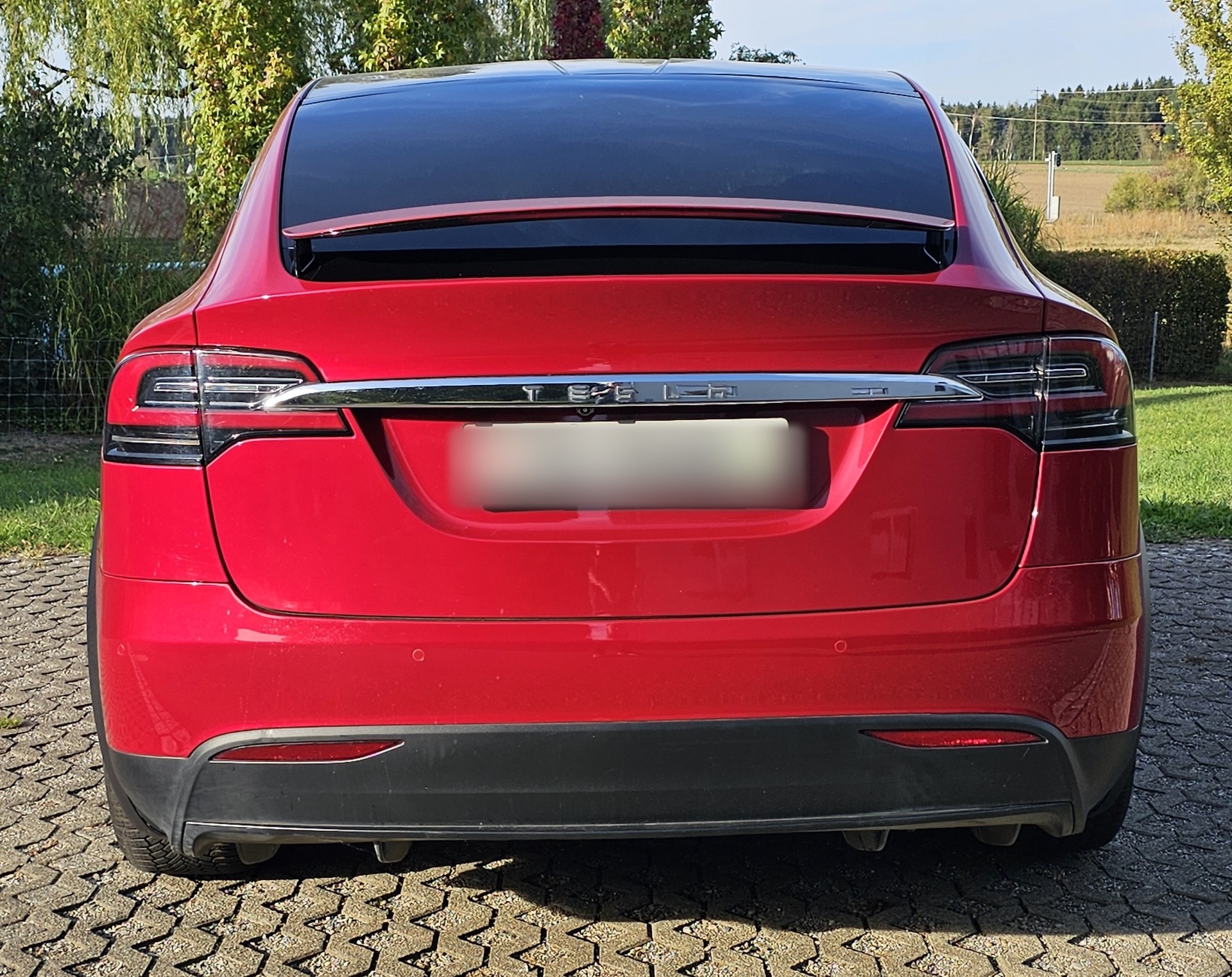 TESLA 100 D-image-2