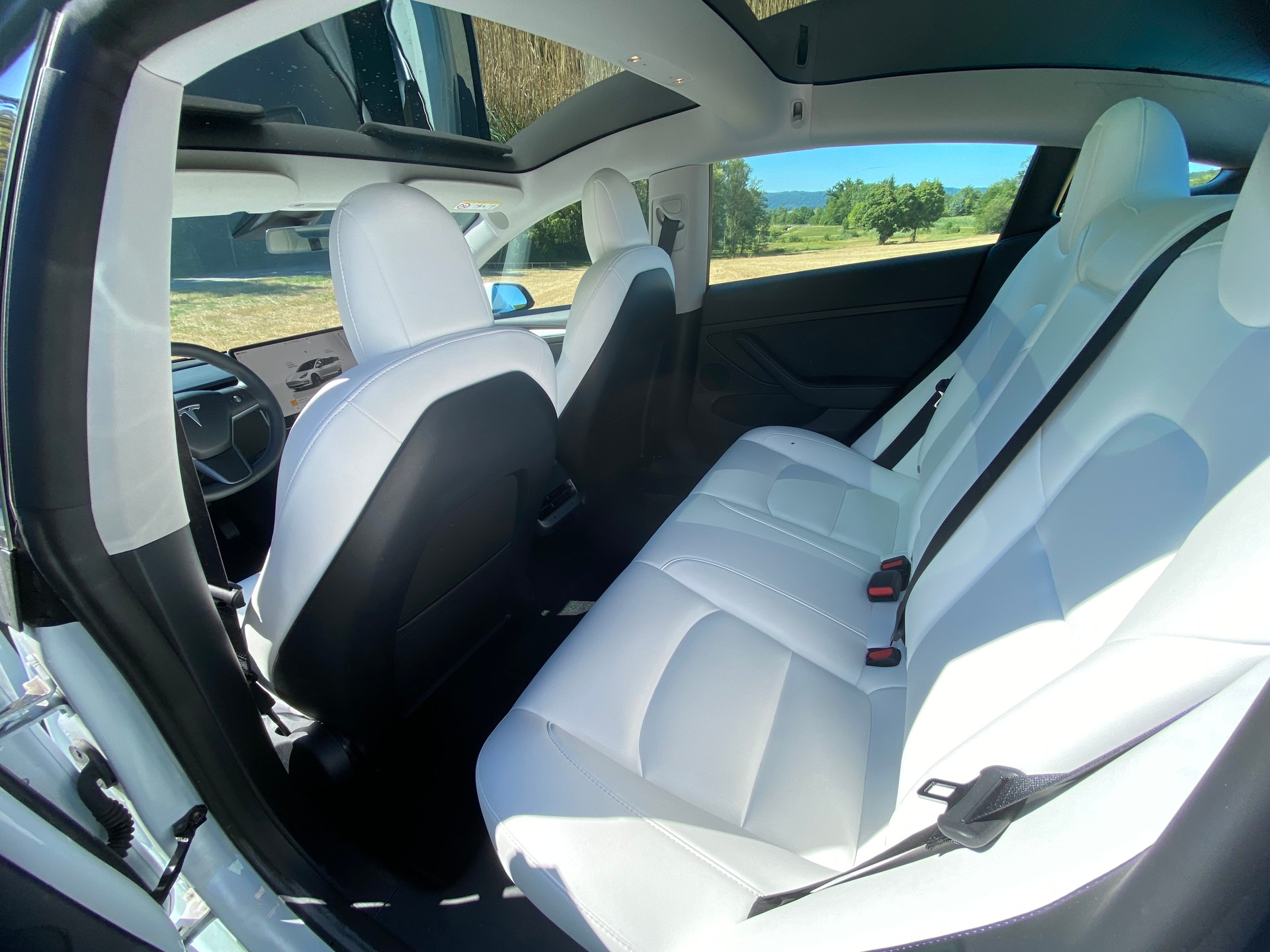 TESLA Model 3-image-11
