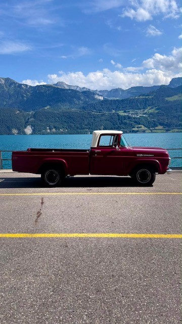 FORD F100 V8-image-4