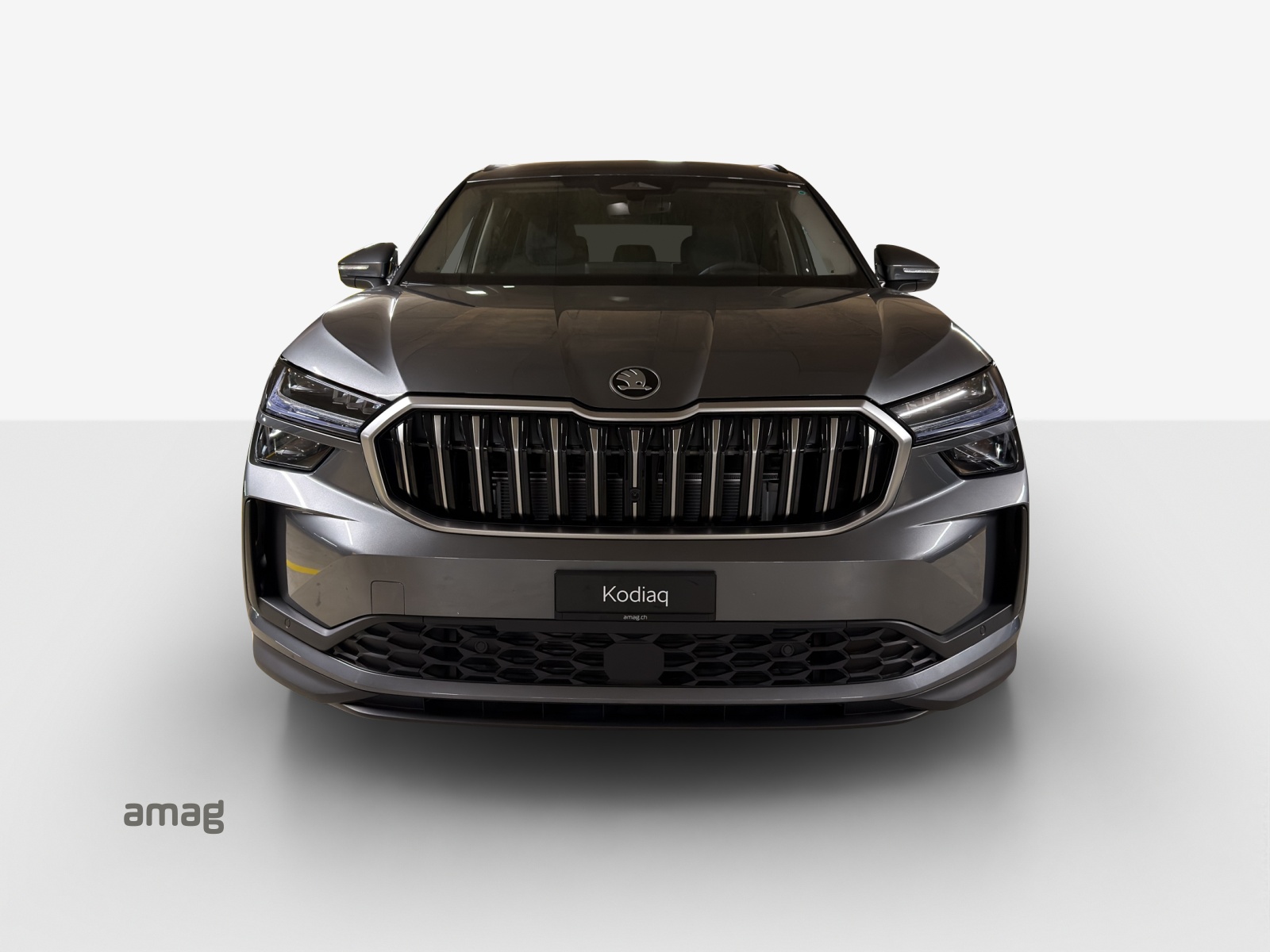 SKODA Kodiaq 2.0 TSI Selection 4x4-image-6