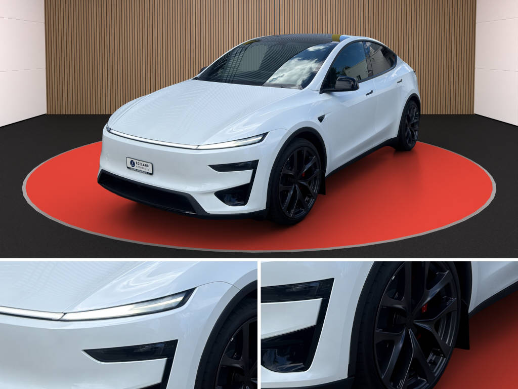 TESLA Model Y Performance AWD-image-8
