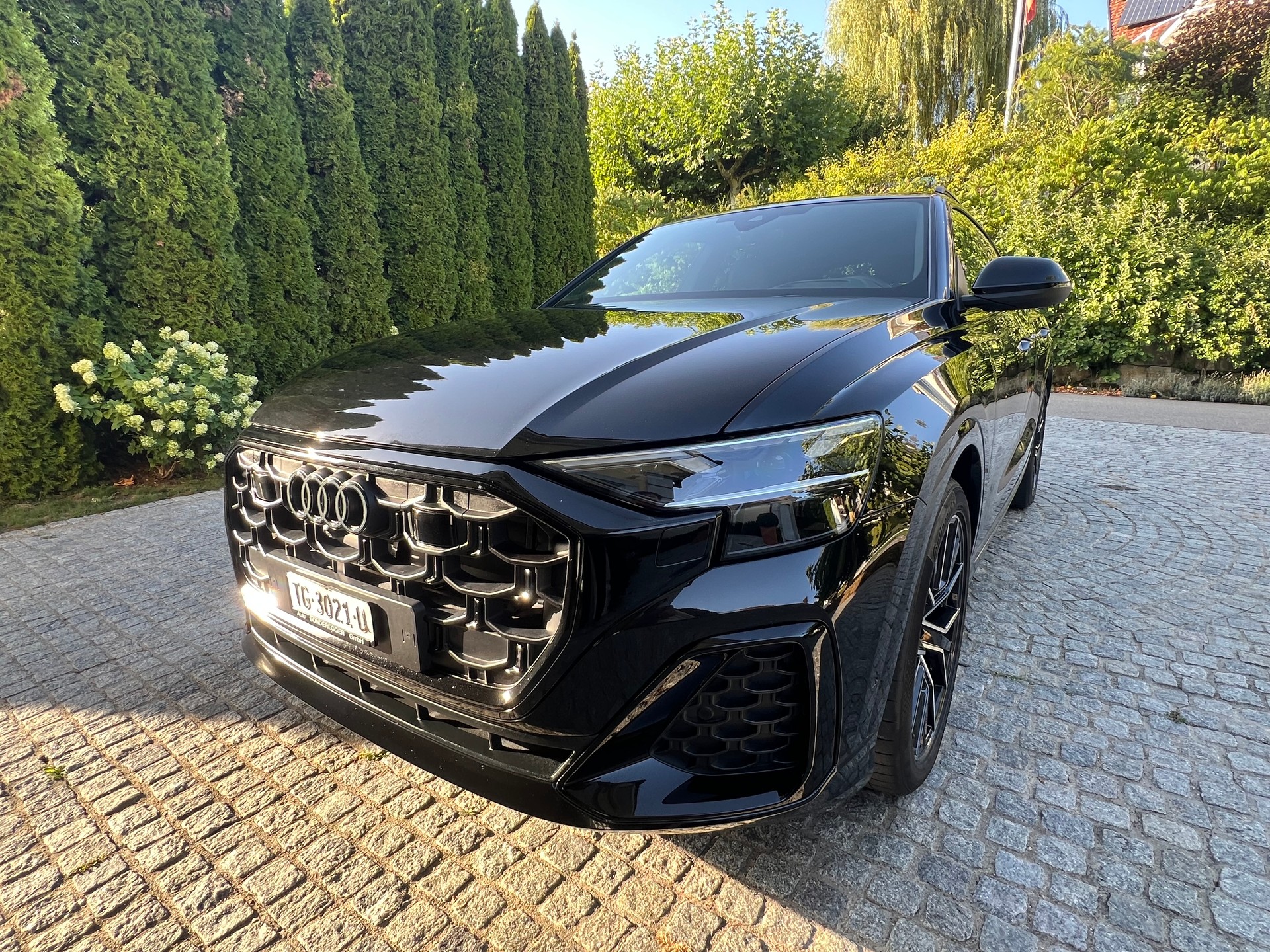 AUDI Q8 SUV 50 TDI quattro tiptronic-image-3