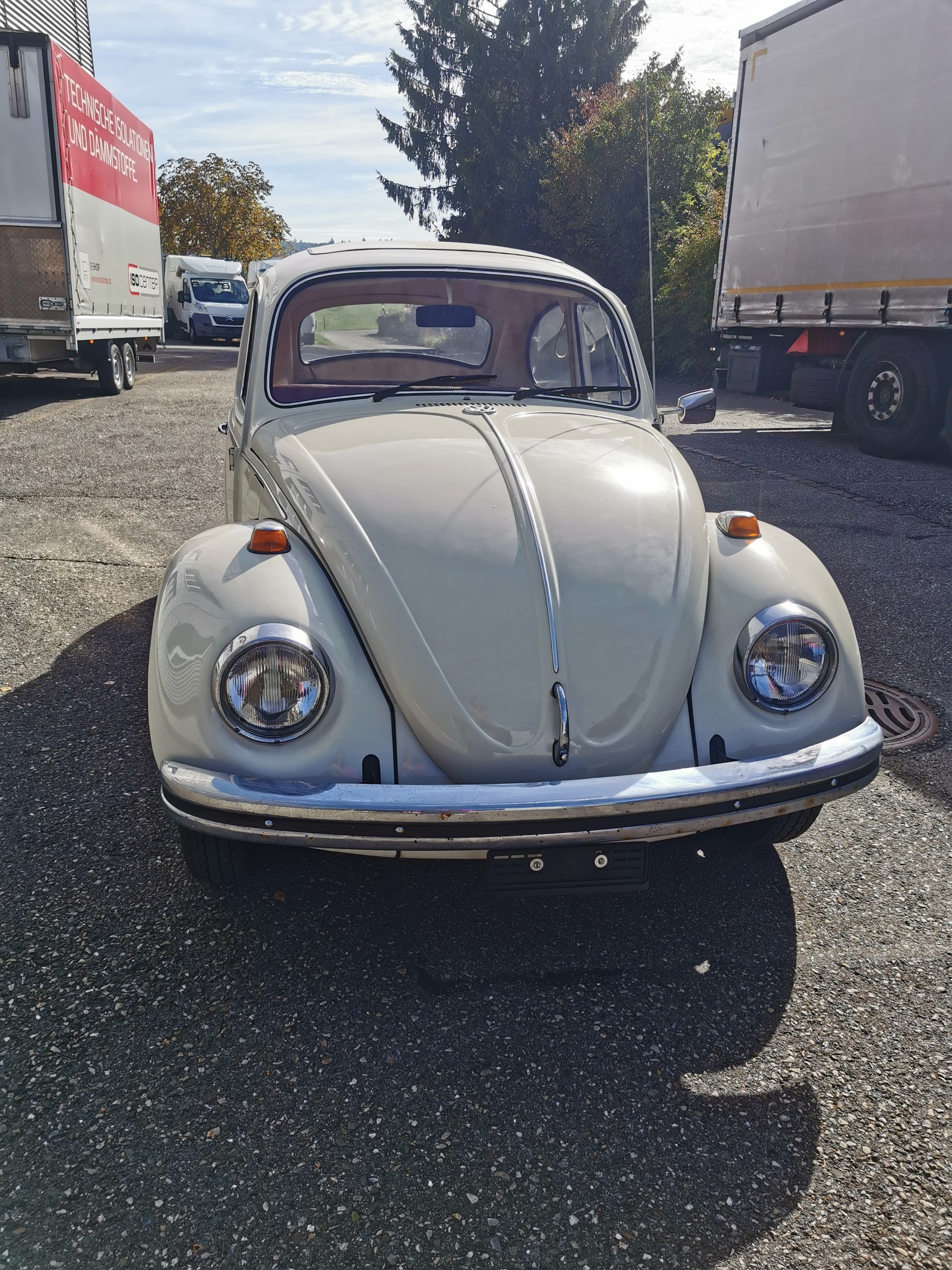 VW 1300-image-1