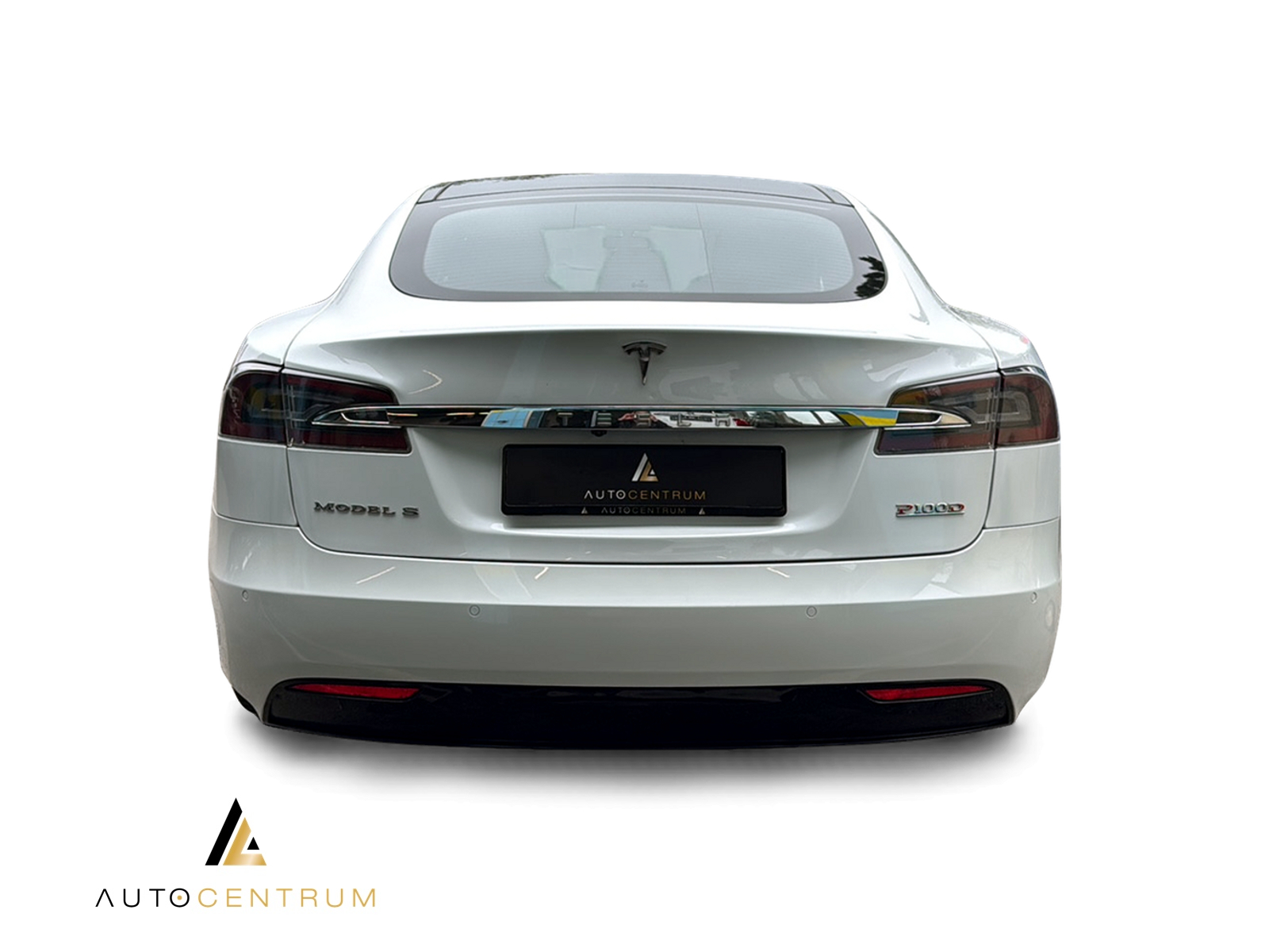 TESLA Model S 100 D Performance-image-3