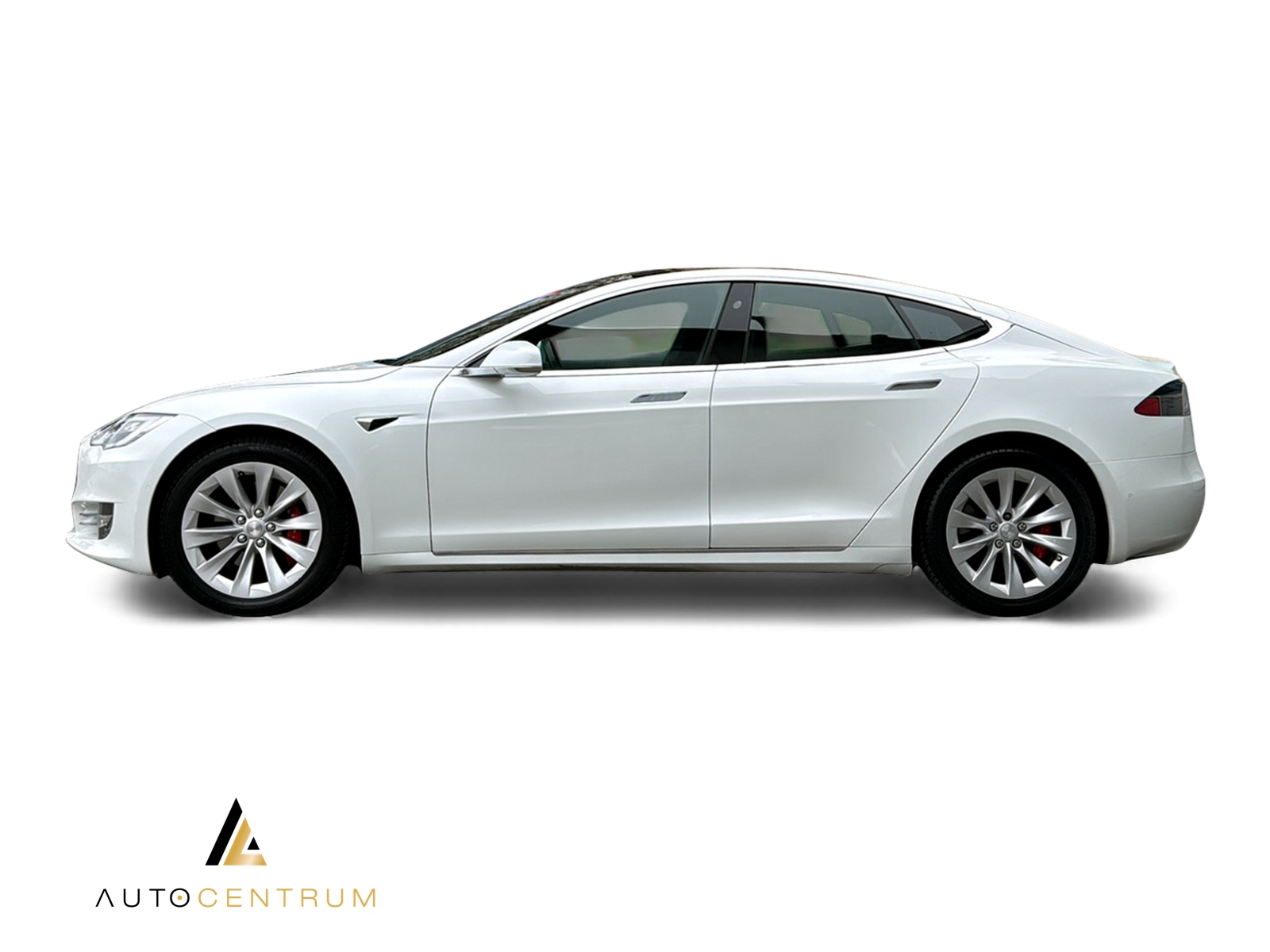 TESLA Model S 100 D Performance-image-2