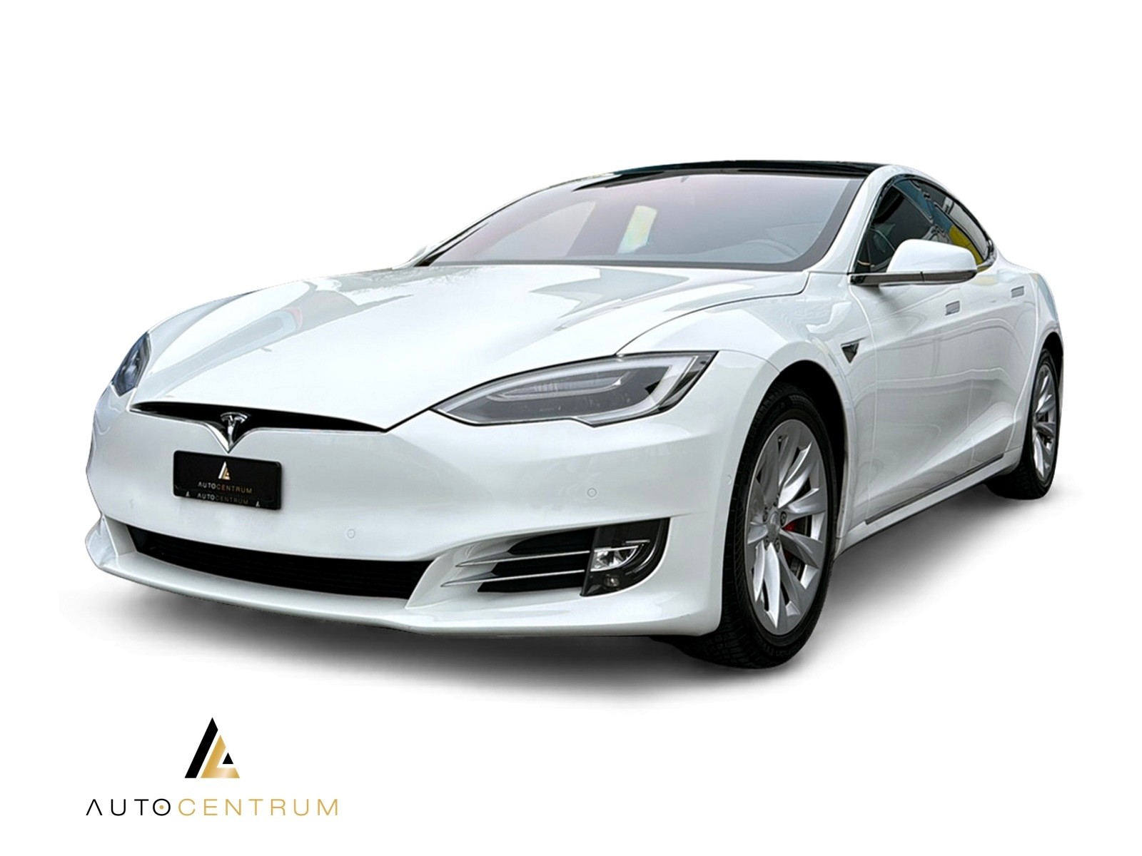 TESLA Model S 100 D Performance-image-0