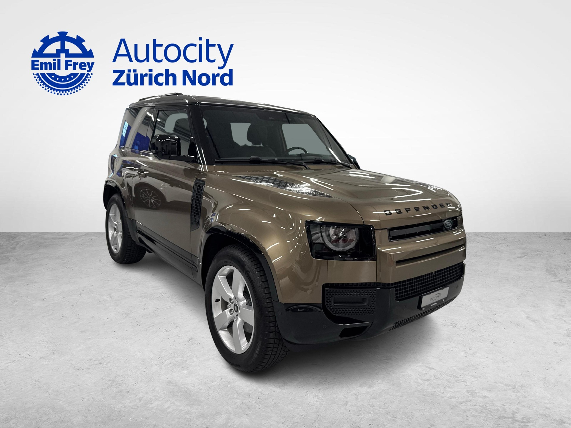 LAND ROVER Defender 90 3.0 D I6 250 X-Dynamic SE-image-6