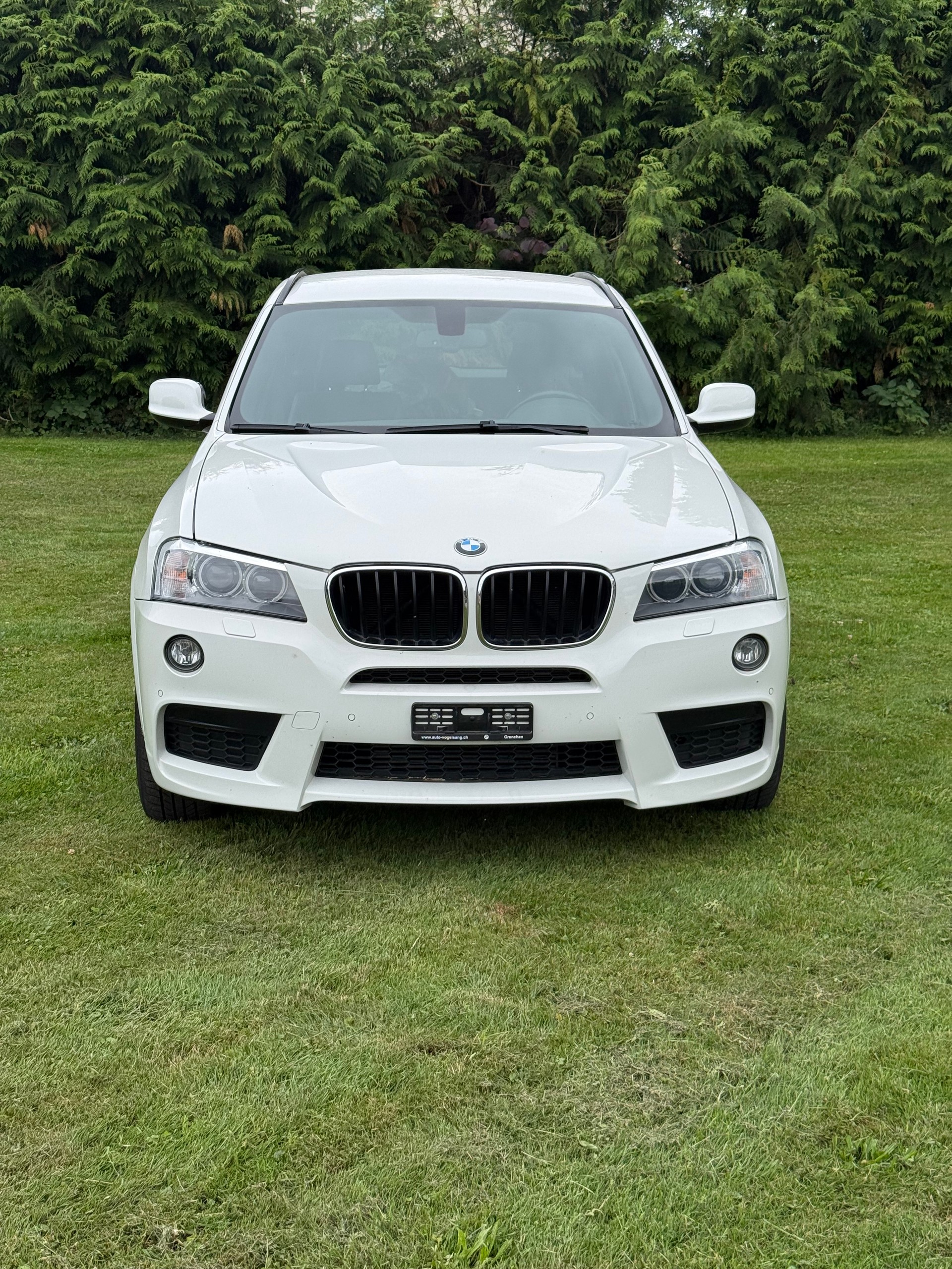 BMW X3 xDrive 20i Steptronic-image-2