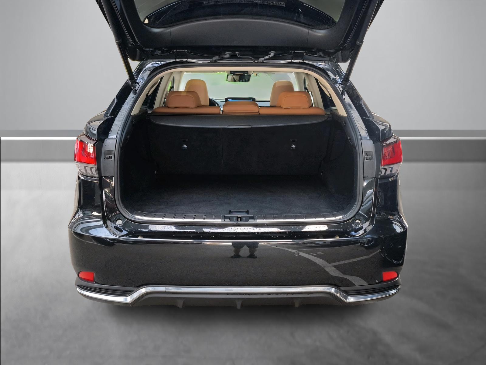LEXUS RX 450h Excellence-image-10