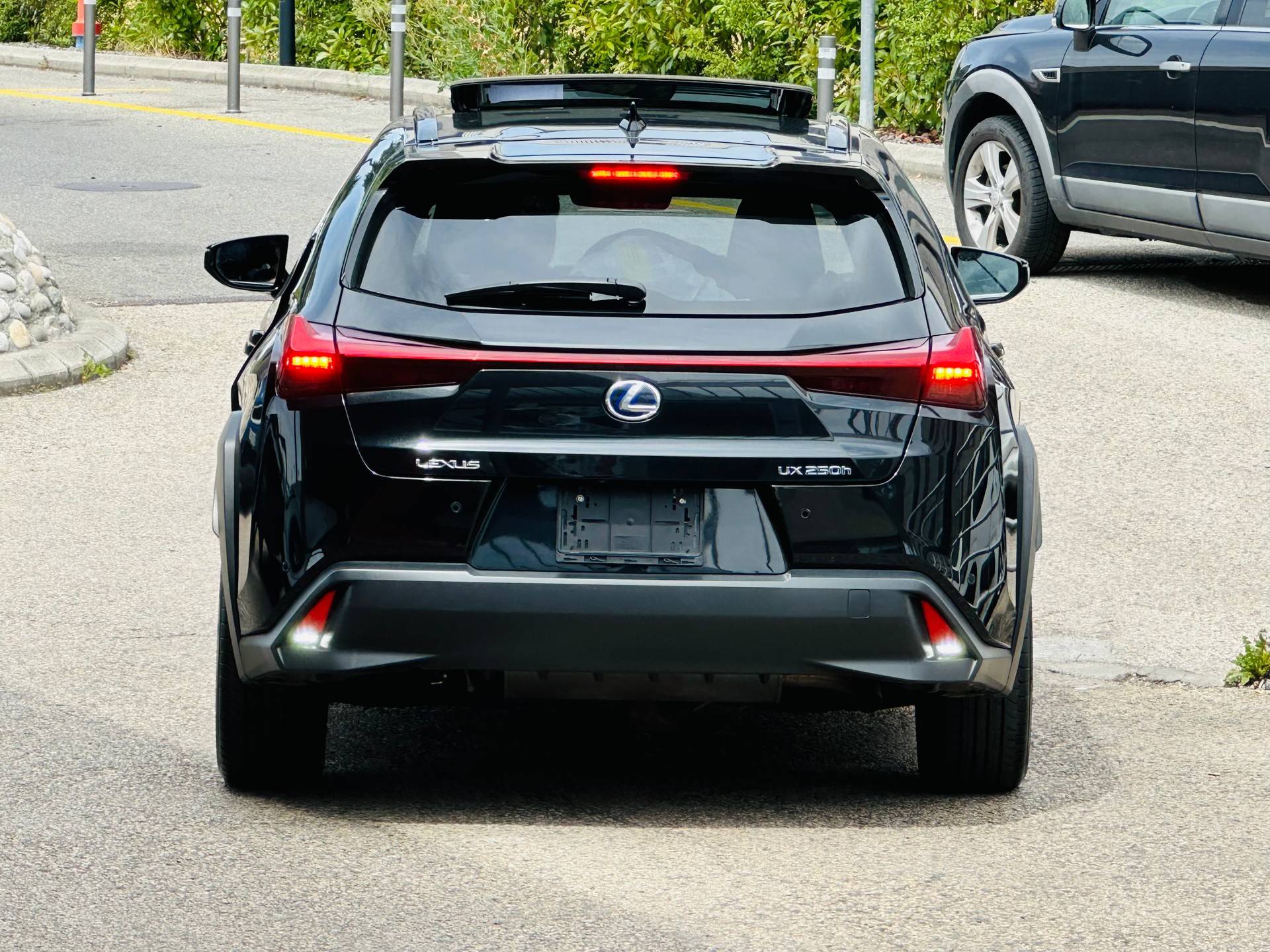 LEXUS UX 250h Excellence AWD Automatic-image-9