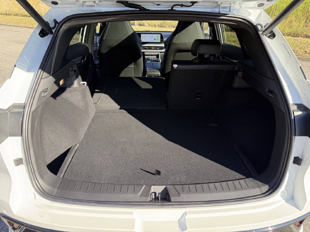 JAC JS6 PHEV-image-15