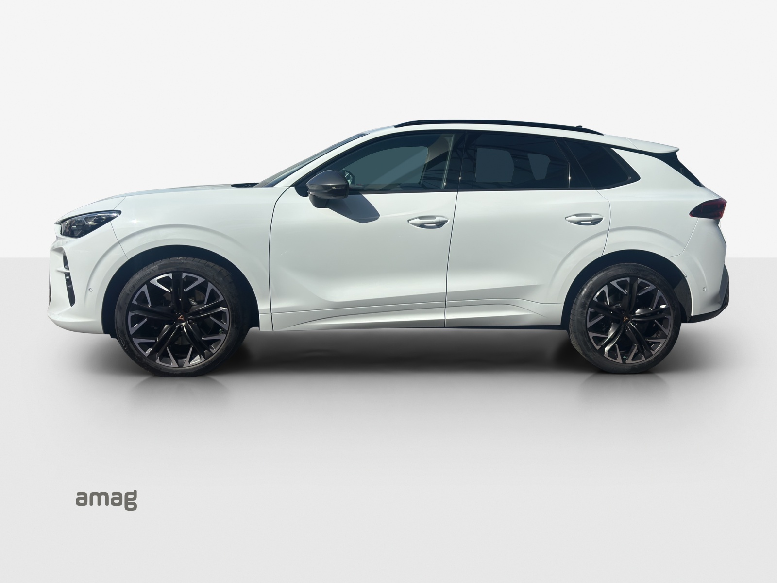CUPRA Terramar 2.0 TSI DSG 4Drive Black Symphony-image-1
