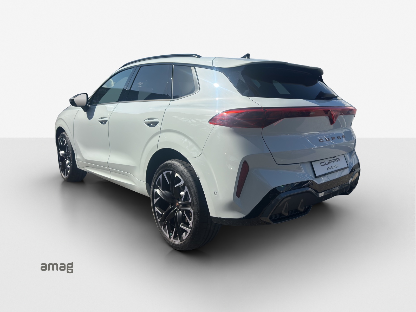 CUPRA Terramar 2.0 TSI DSG 4Drive Black Symphony-image-2