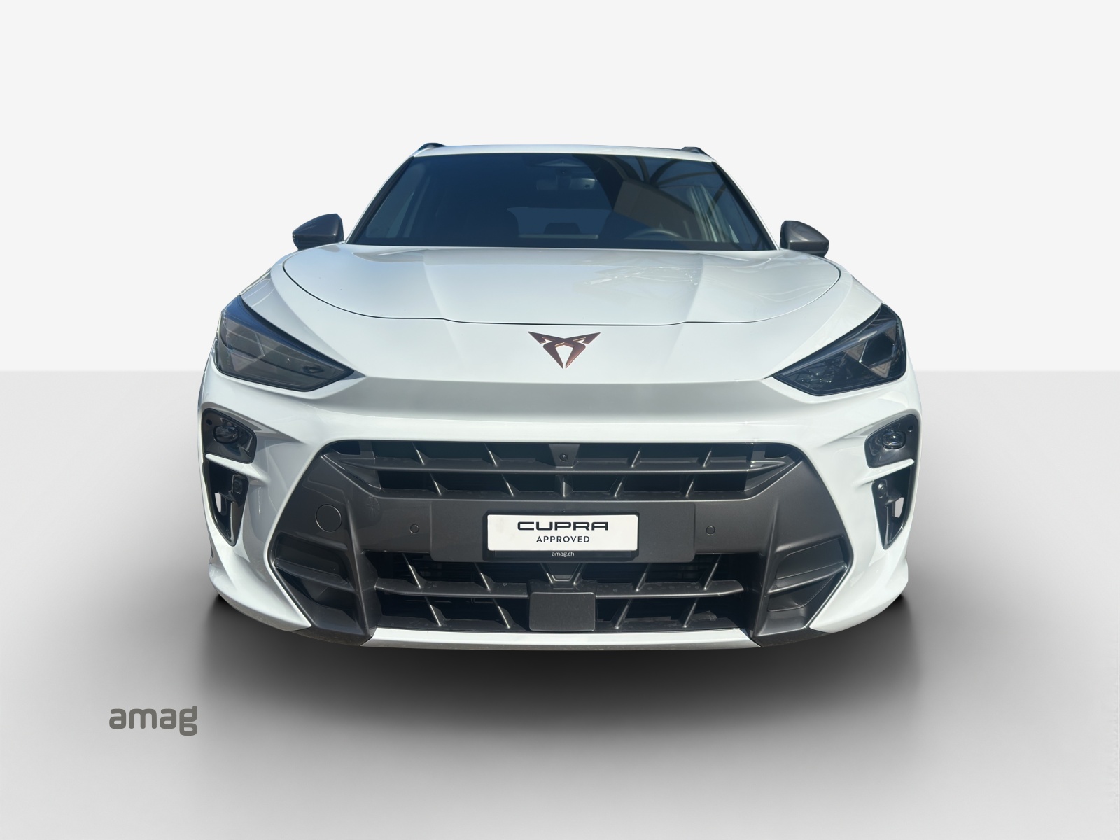 CUPRA Terramar 2.0 TSI DSG 4Drive Black Symphony-image-6