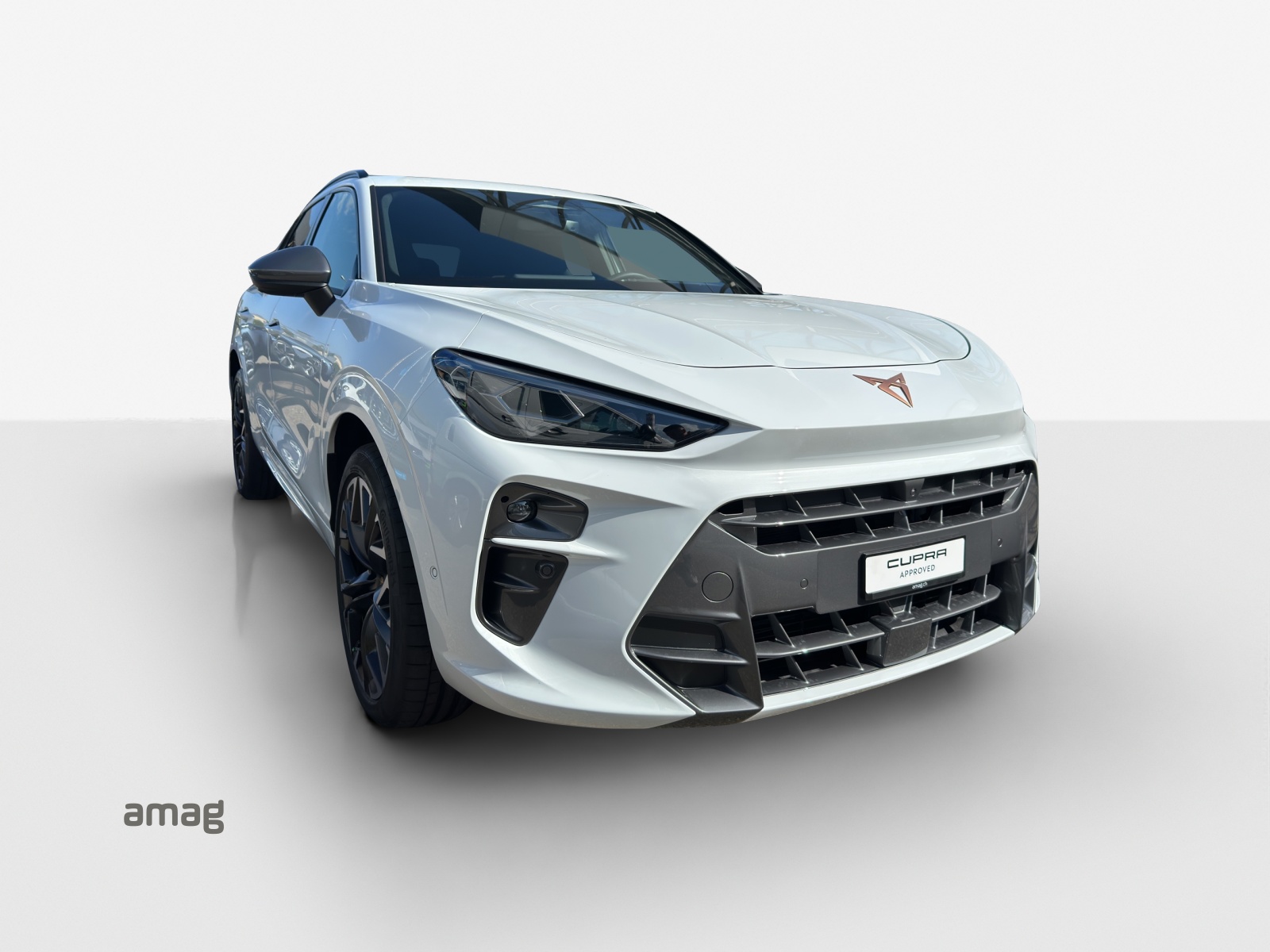 CUPRA Terramar 2.0 TSI DSG 4Drive Black Symphony-image-5