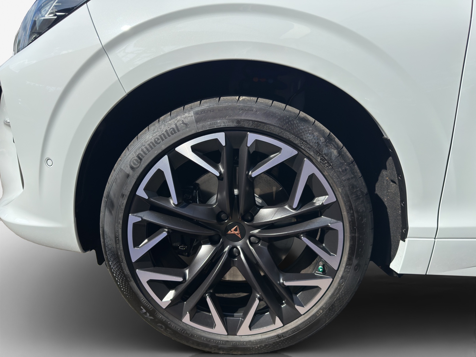 CUPRA Terramar 2.0 TSI DSG 4Drive Black Symphony-image-15