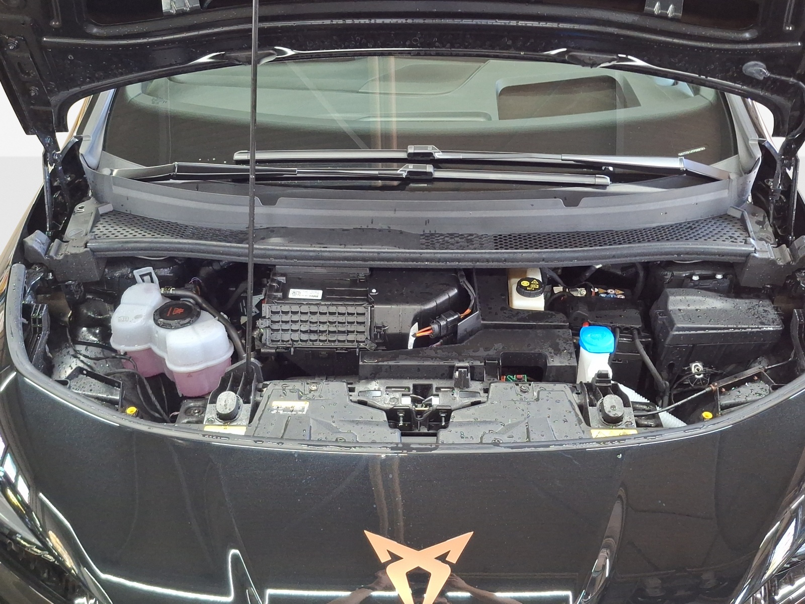 CUPRA Born 79 kWh e-Boost-image-15