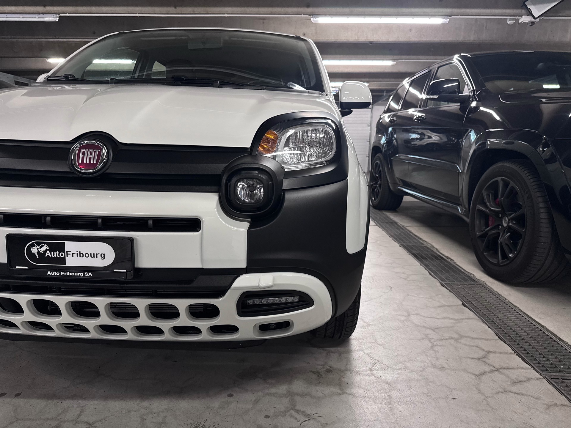 FIAT Panda 1.0 MHEV City Cross-showroom-element-1