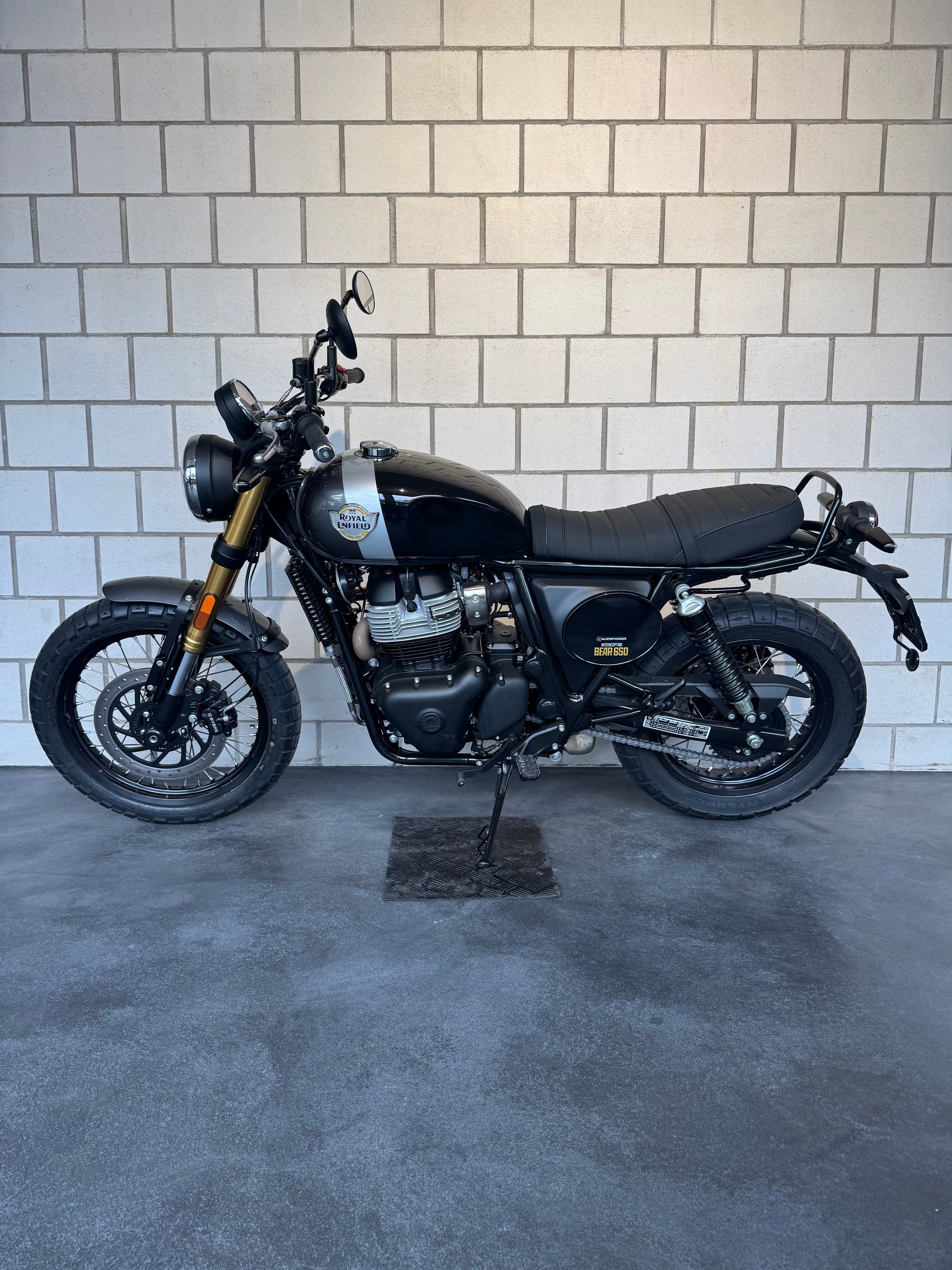 ROYAL ENFIELD Bear 650-showroom-element-1