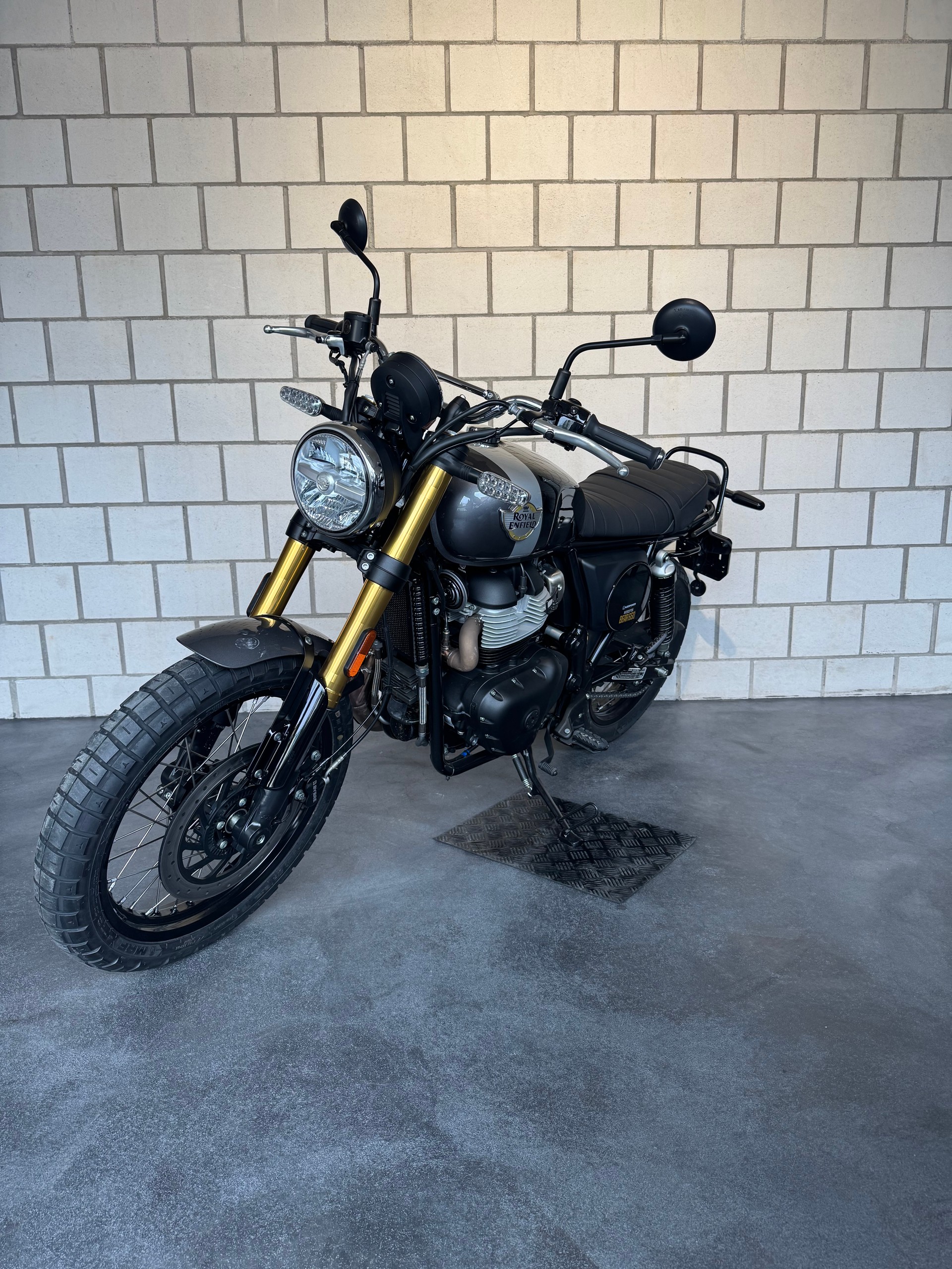 ROYAL ENFIELD Bear 650-showroom-element-2