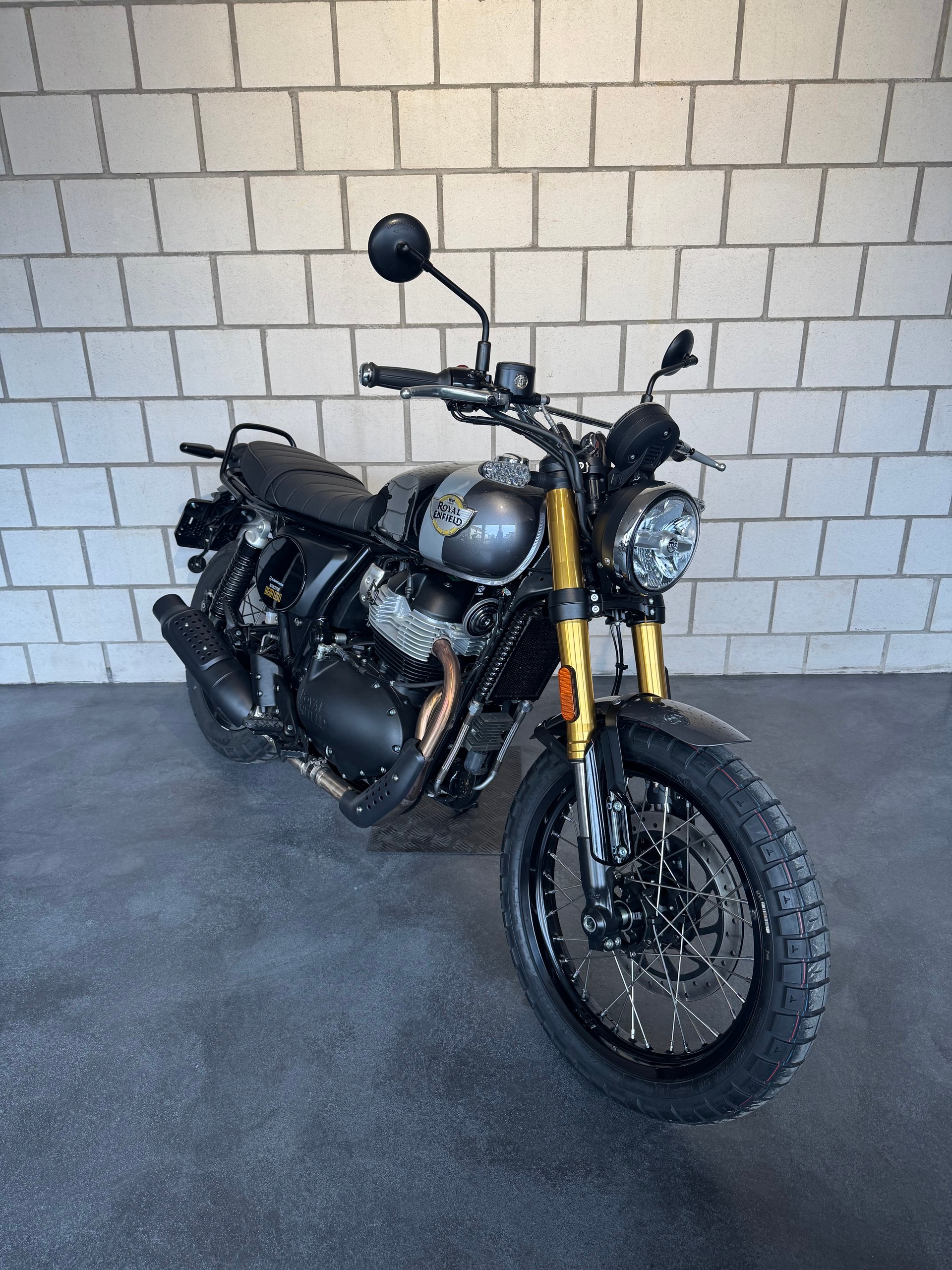 ROYAL ENFIELD Bear 650-showroom-element-3