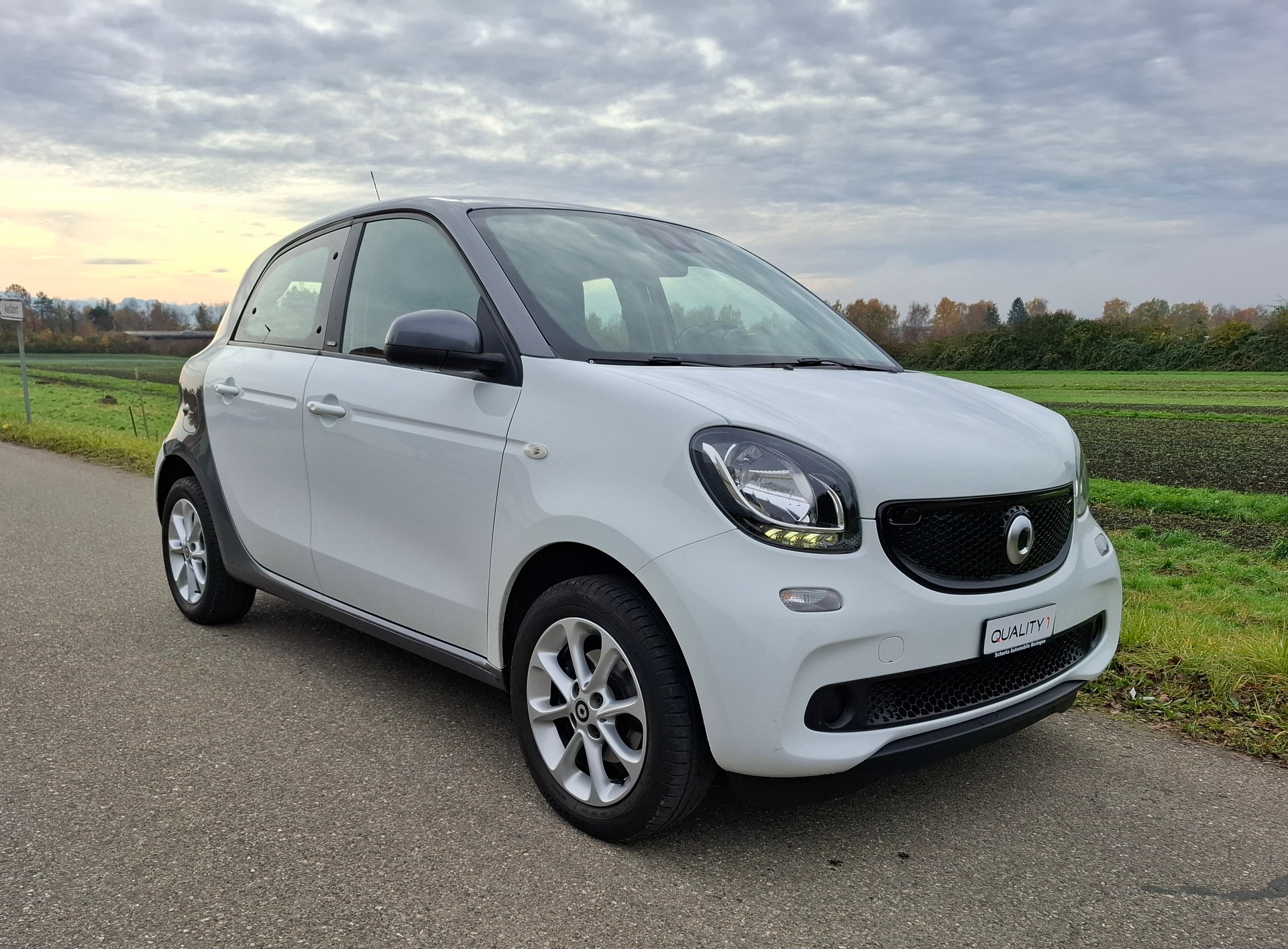 SMART forfour passion twinmatic-image-6