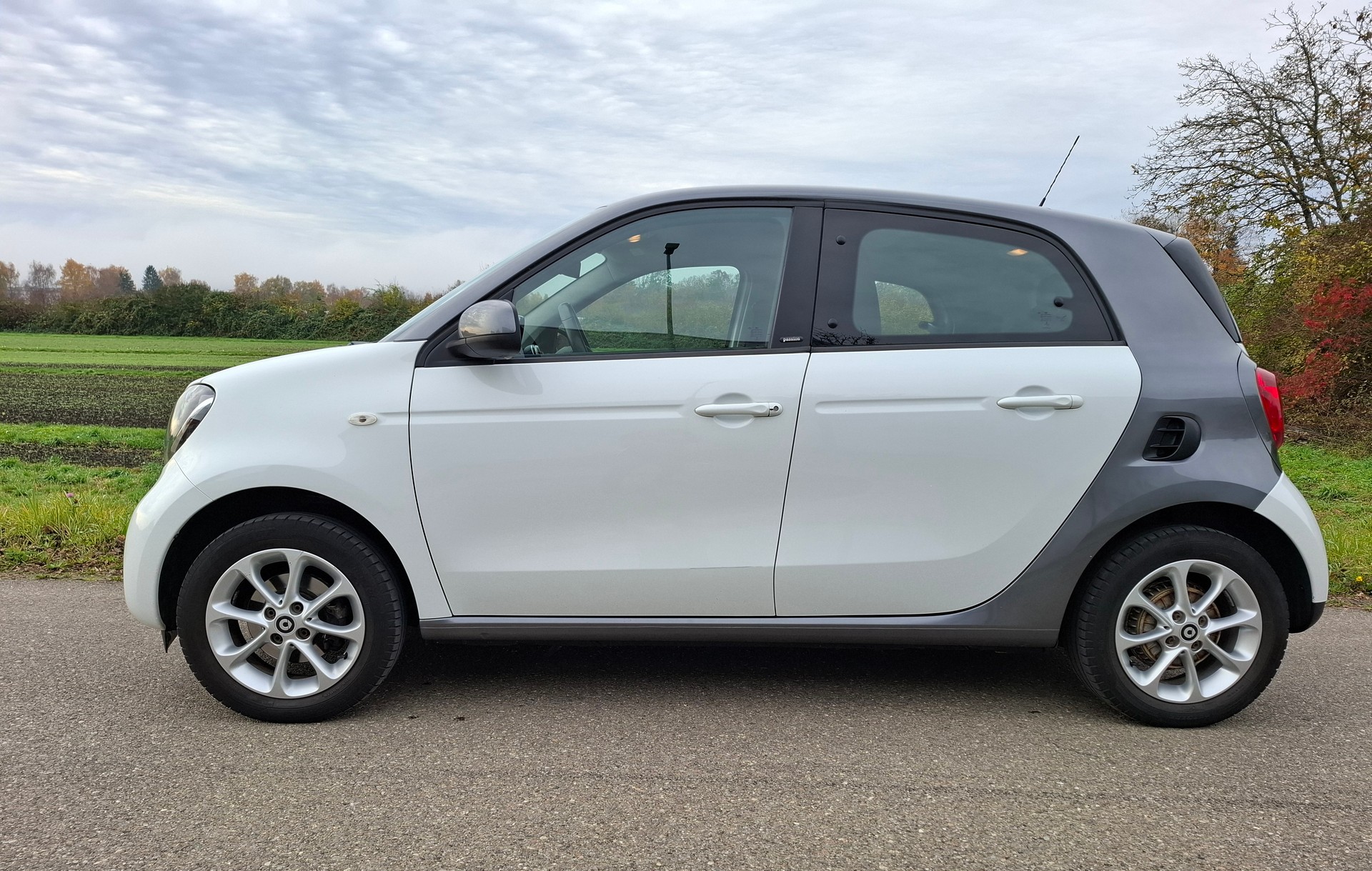 SMART forfour passion twinmatic-showroom-element-1