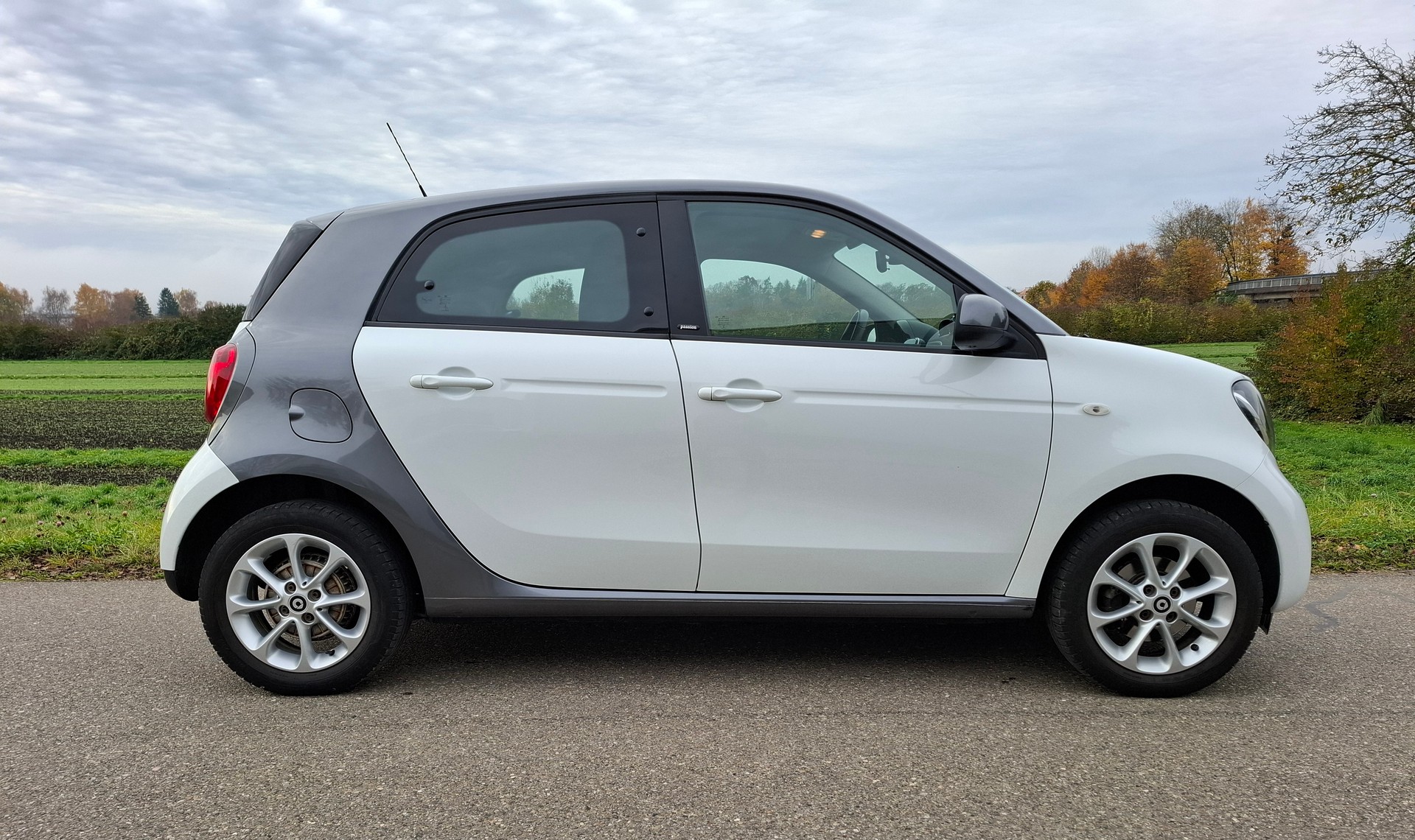 SMART forfour passion twinmatic-image-5