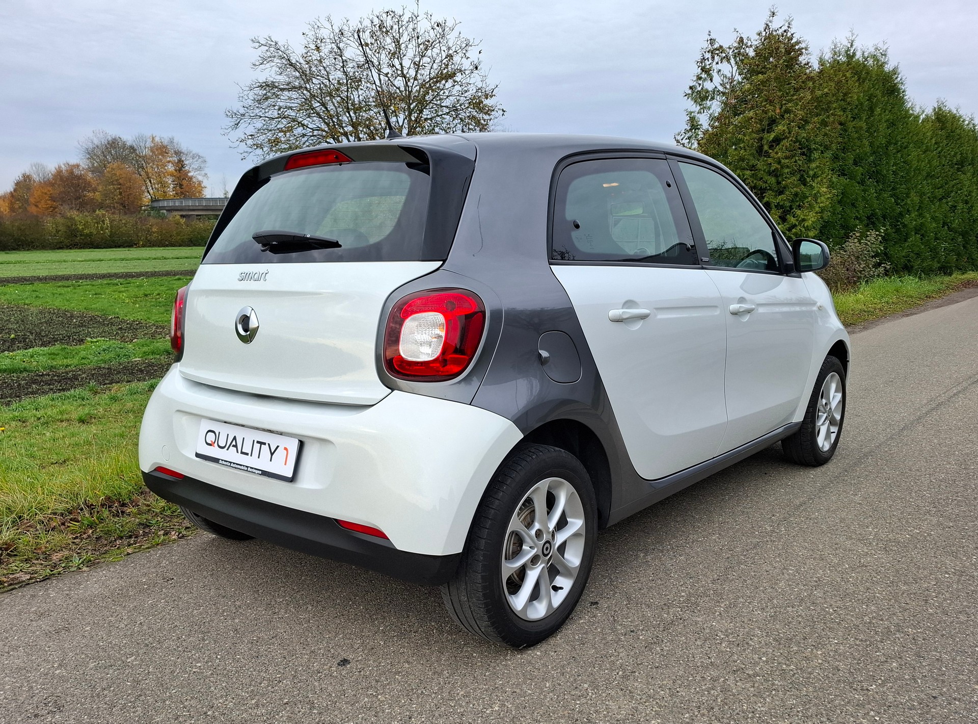 SMART forfour passion twinmatic-image-4