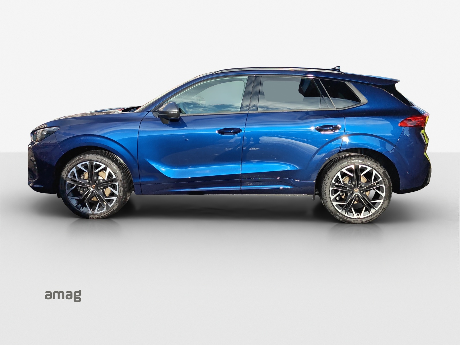 CUPRA Terramar 2.0 TSI DSG 4Drive VZ-image-1