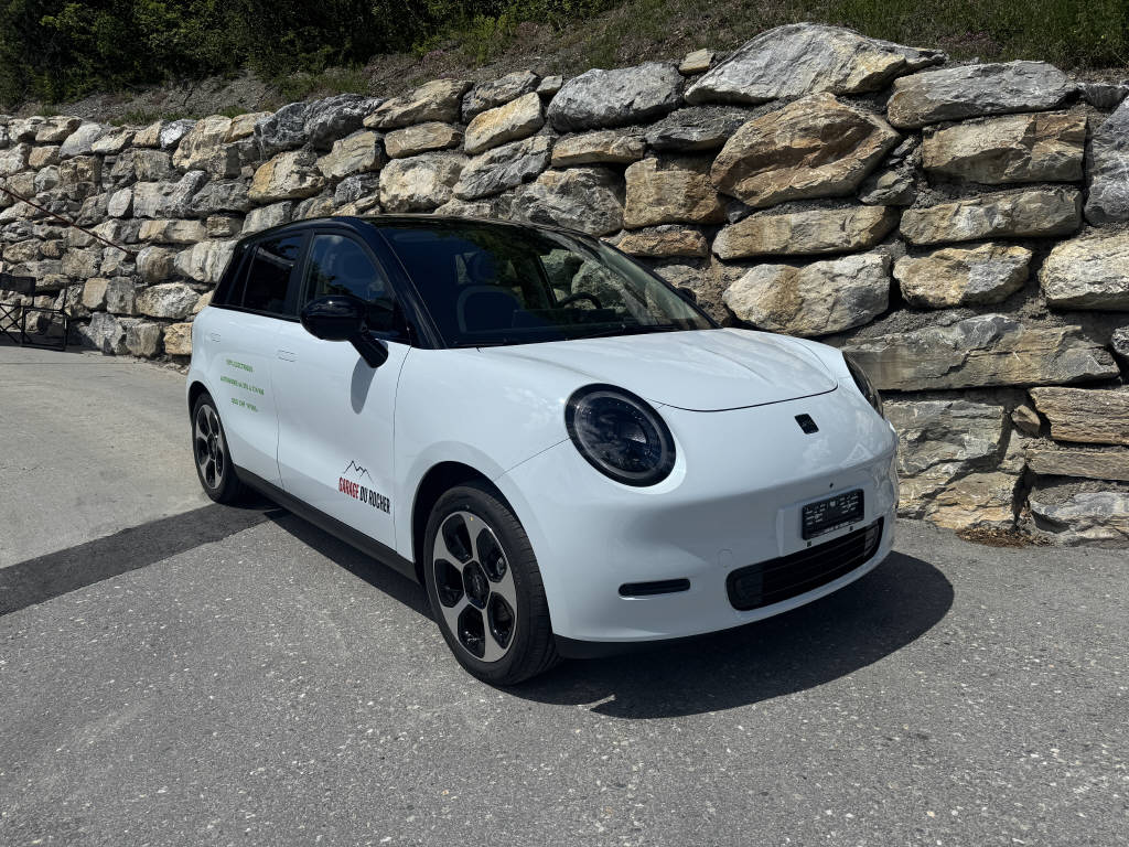 JAC E30X Electric-image-0