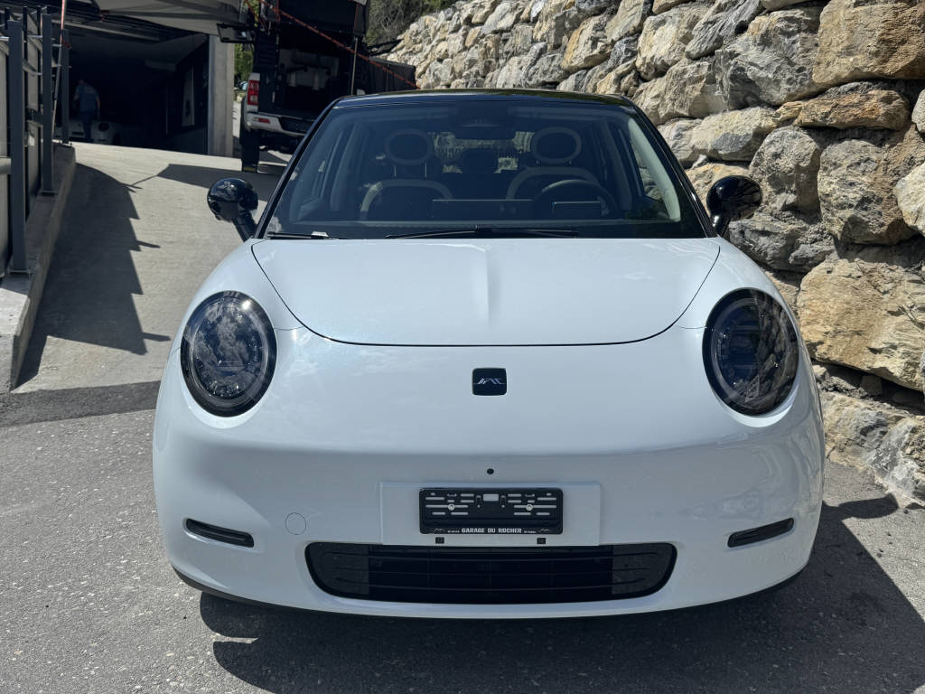 JAC E30X Electric-image-3