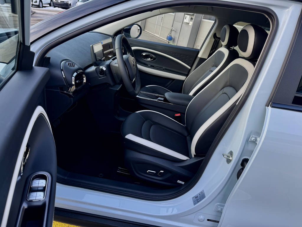 JAC E30X Electric-image-7