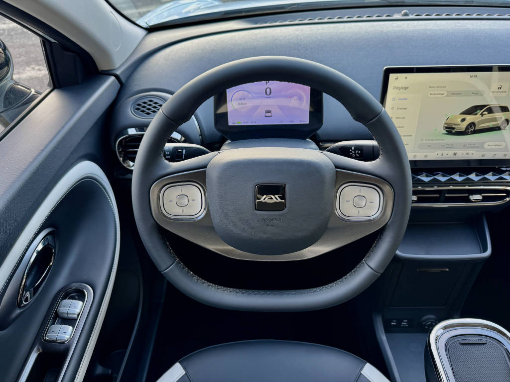 JAC E30X Electric-image-8