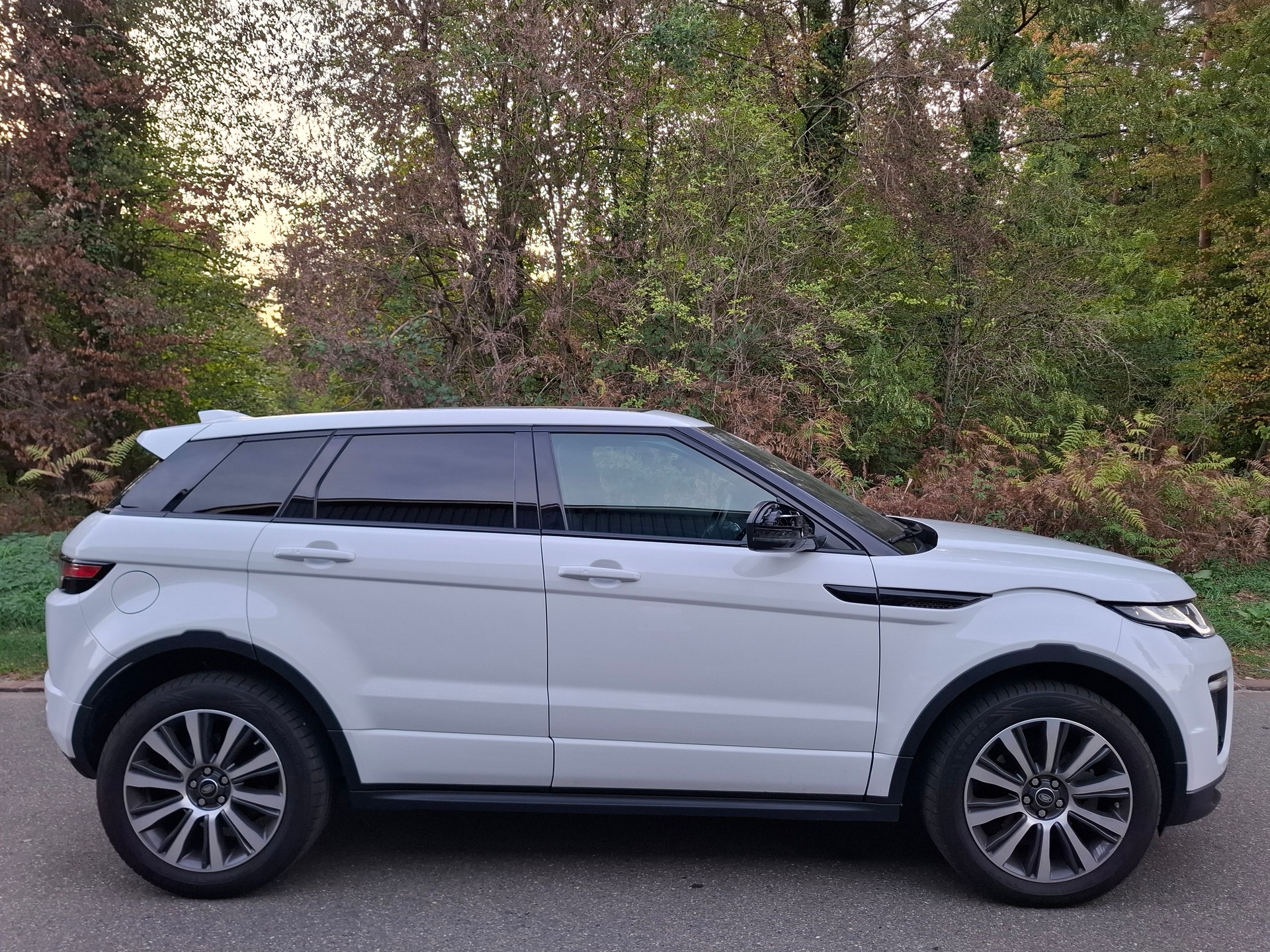 LAND ROVER Range Rover Evoque 2.0 Si4 HSE Dynamic AT9-image-1