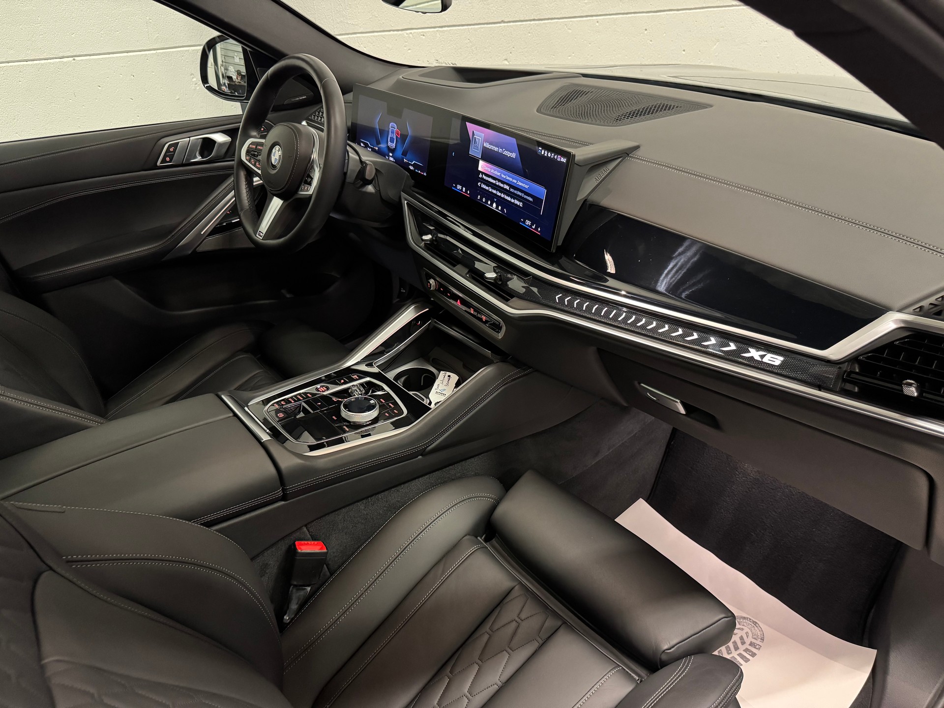 BMW X6 xDrive 48V 40i M Sport Pro Steptronic-image-19