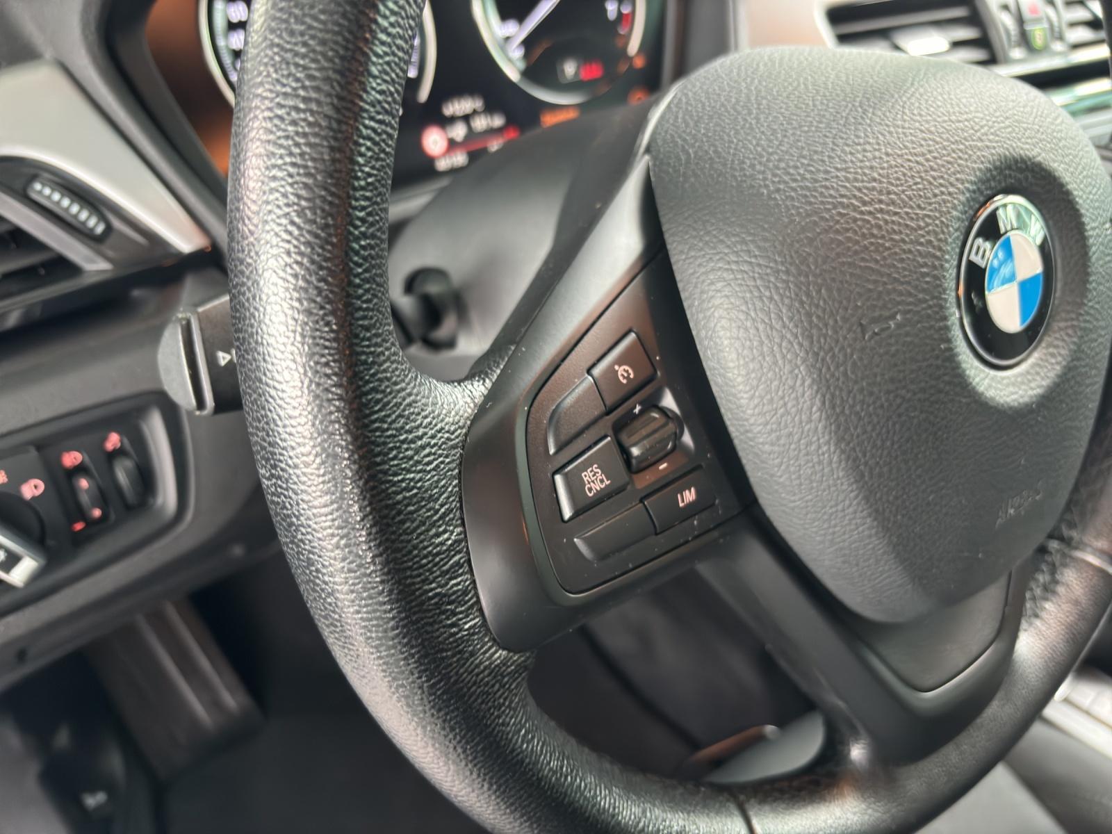 BMW X1 xDrive25e-image-16