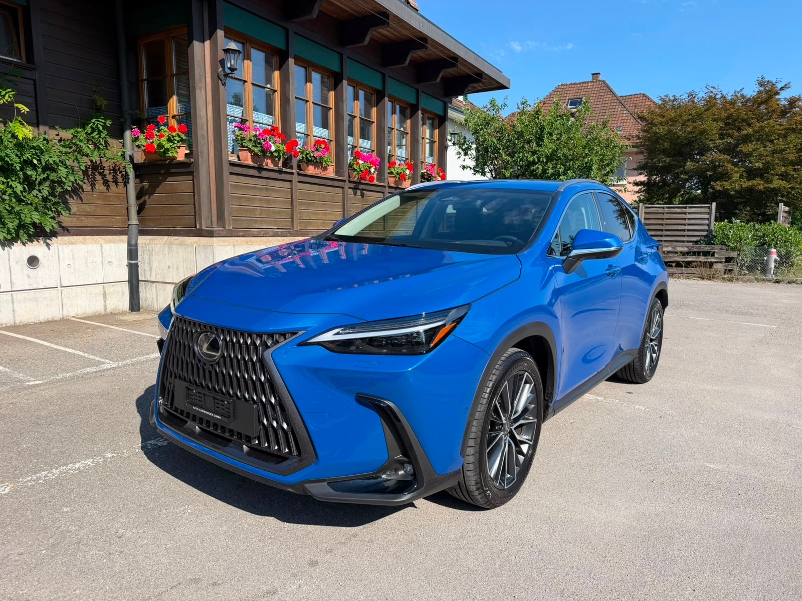 LEXUS NX 350h E-FOUR Excellence-showroom-element-1
