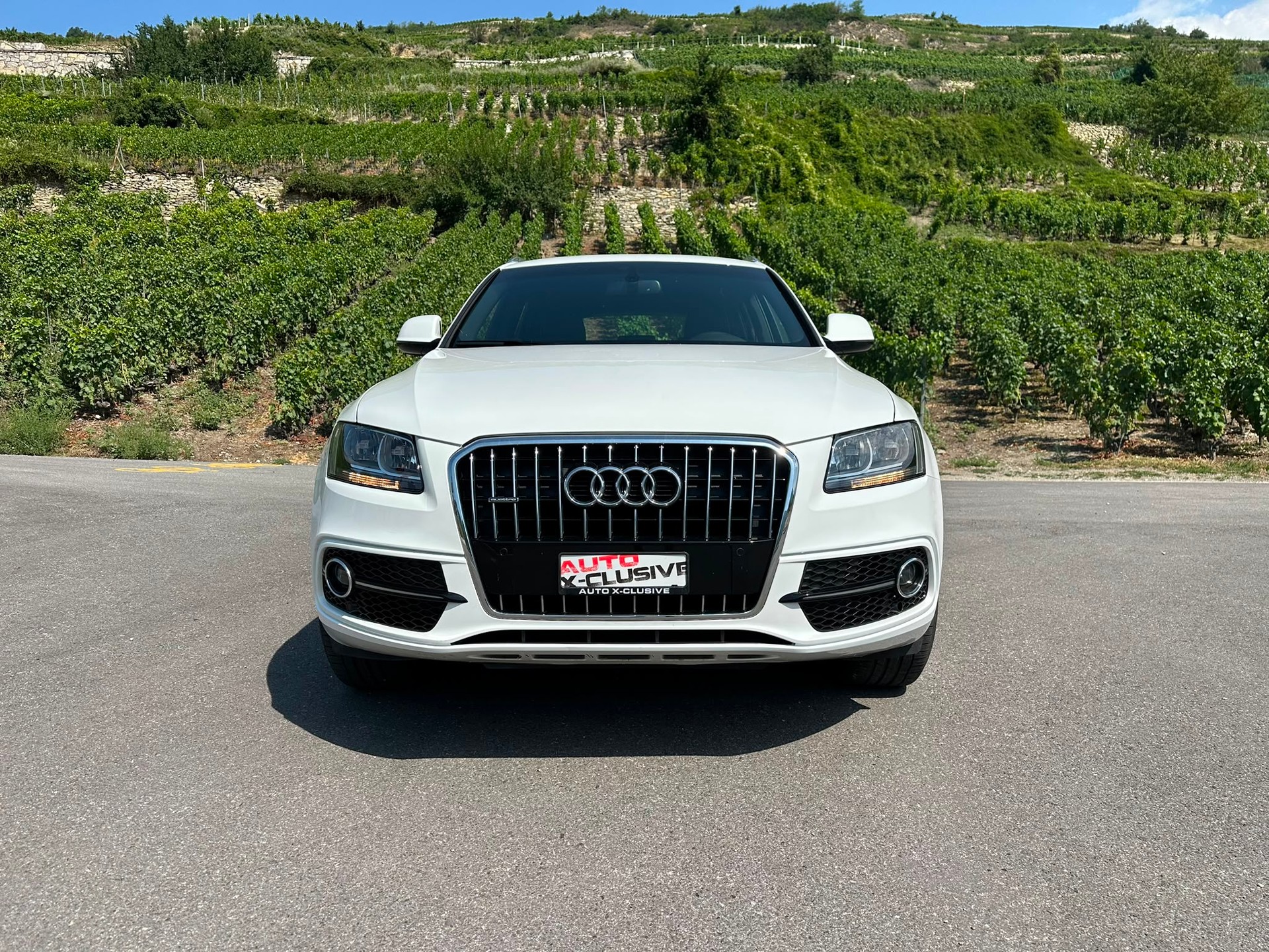 AUDI Q5 2.0 TDI quattro S-tronic-image-1